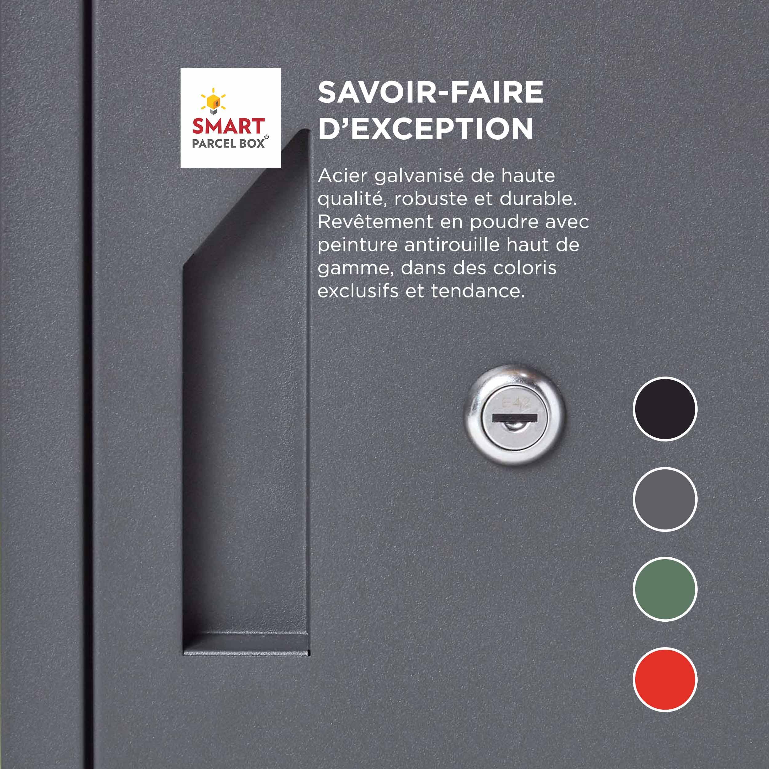 SMART PARCEL BOX Boite aux Lettres 2 Portes, Boite à Colis Extérieur sur Pied, Acier galvanisé, Extra Large, Serrure 3 clés, Gris foncé, 48.5 x 45.5 x 102.5 cm