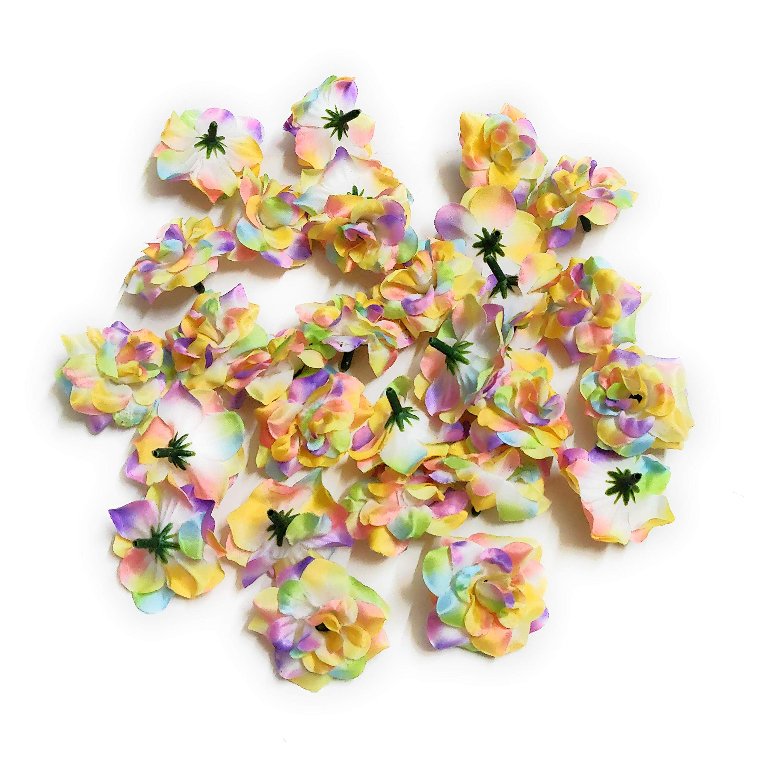 Excellentcrafts 4cm Fabric Rose Artificial Flowers for Home Decor/Flower Jewellery Making (Multi) (B08MDBTMRF) Amazon Price History, Amazon Price Tracker
