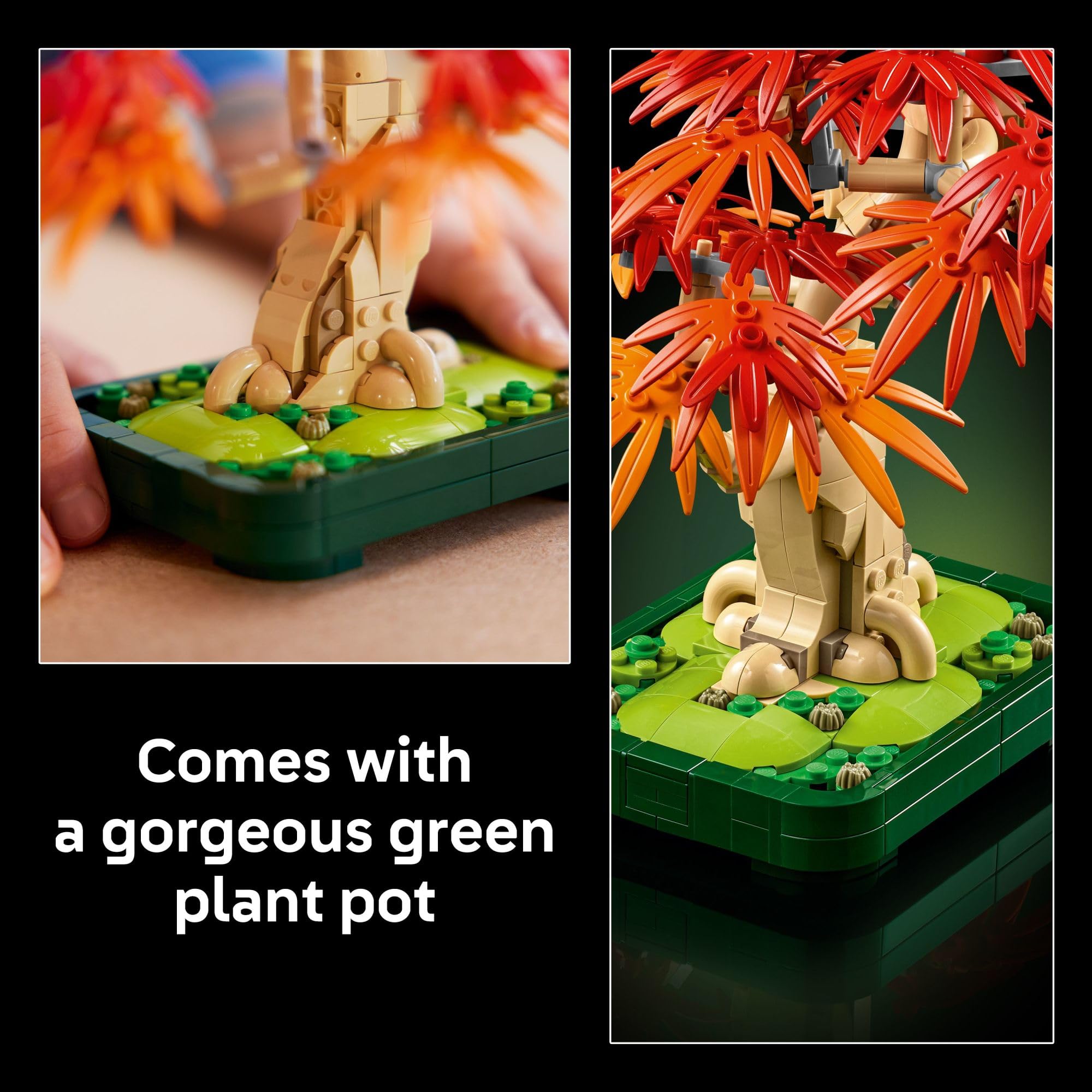 LEGO Botanicals Japanese Red Maple Bonsai Tree Building Kit for Adults 18+ - Unique Home Decor DIY for Room or Office - Housewarming Gift Idea for New Home - Plant Decor for Desk or Bookshelf- 10348