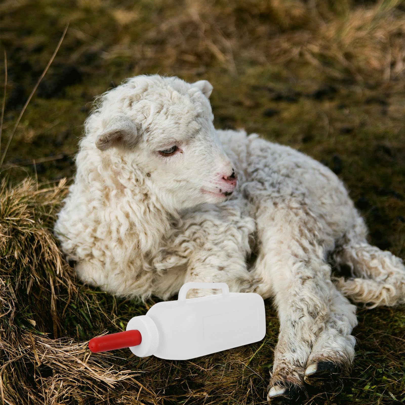 Ciieeo Biberons pour Veaux et Agneaux 2l à Long Col, Alimentation D’élevage en Ferme, Bouteille Légère et Portable en Plastique Solide, Tétine Adaptée pour Nutrition Précise et Survie