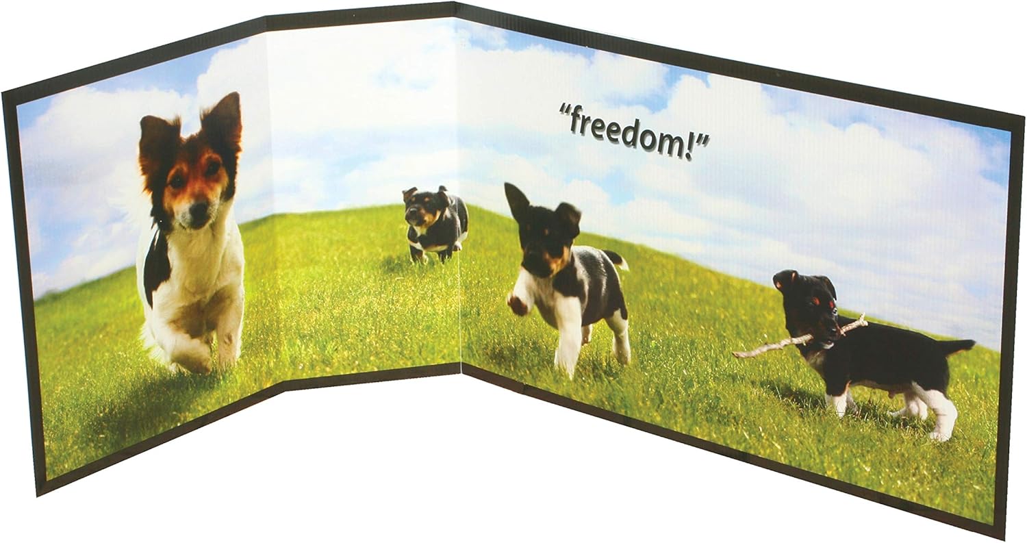 Dog pee splash guard Clearance