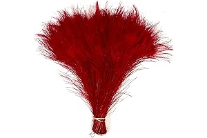 25 RED Peacock Feathers