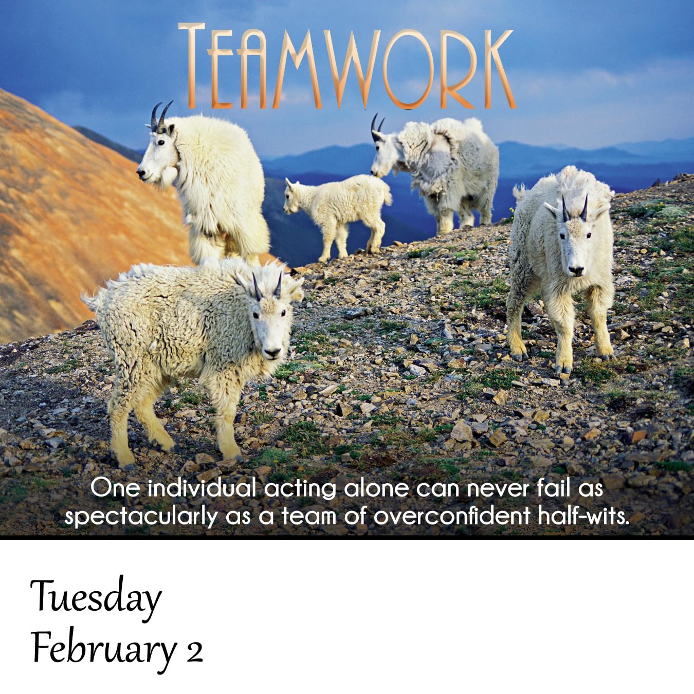 Demotivational 2027 Daily Calendar (A Funny, Uninspirational, and Humorous Page-A-Day / Day-to-Day Desk Calendar - all 365 days!)