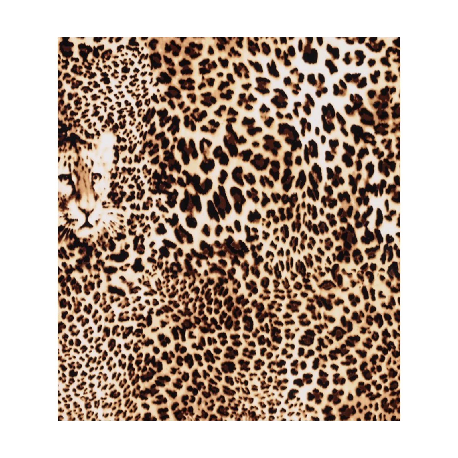 25×30.5cm Leopard Print Heat Transfer Vinyl HTV Sheet Leopard PU Adhesive Transfer Vinyl for Clothes Fabric Supplies T-Shirt Decoration DIY