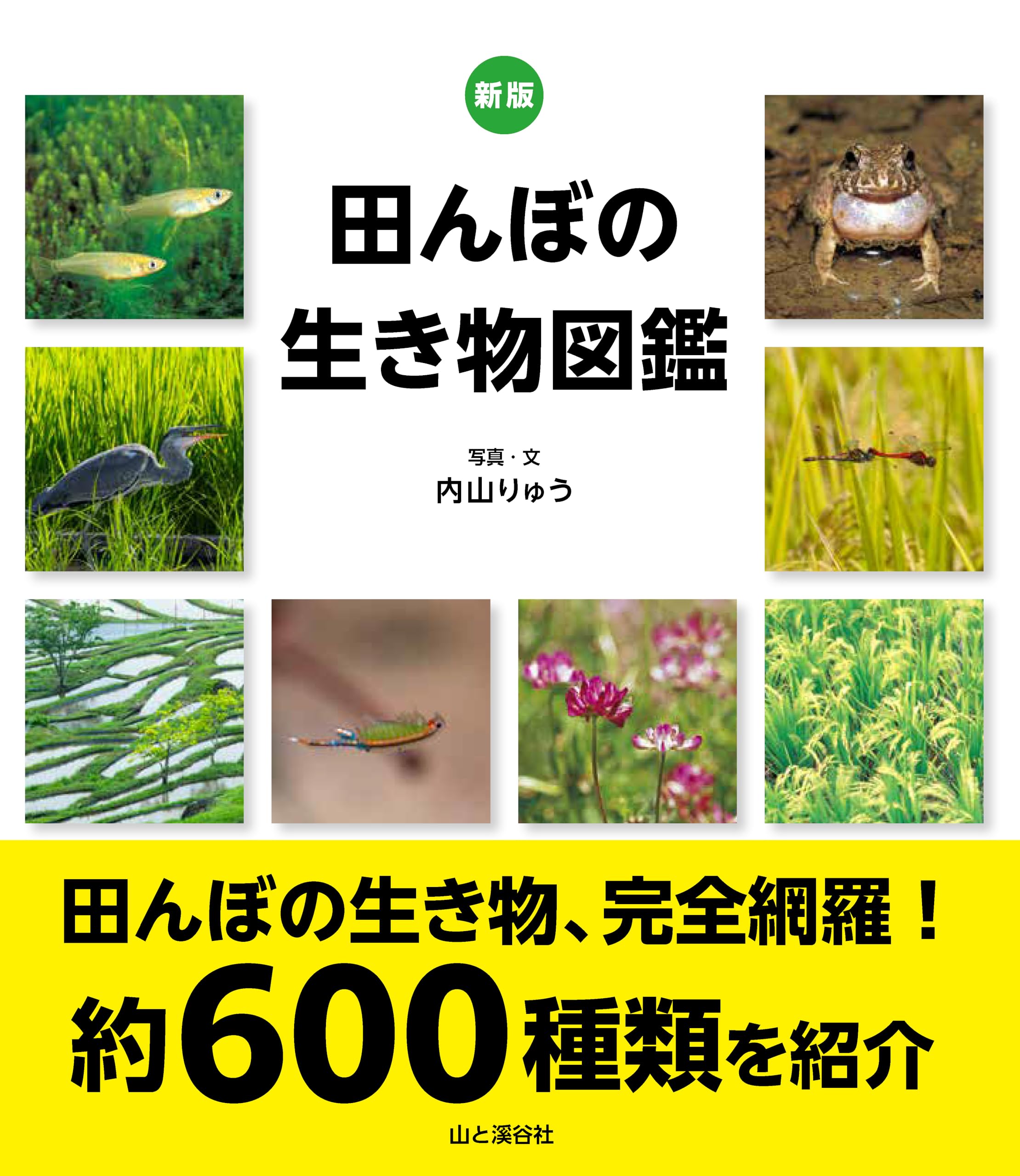 新版 田んぼの生き物図鑑 | 内山 りゅう |本 | 通販 | Amazon