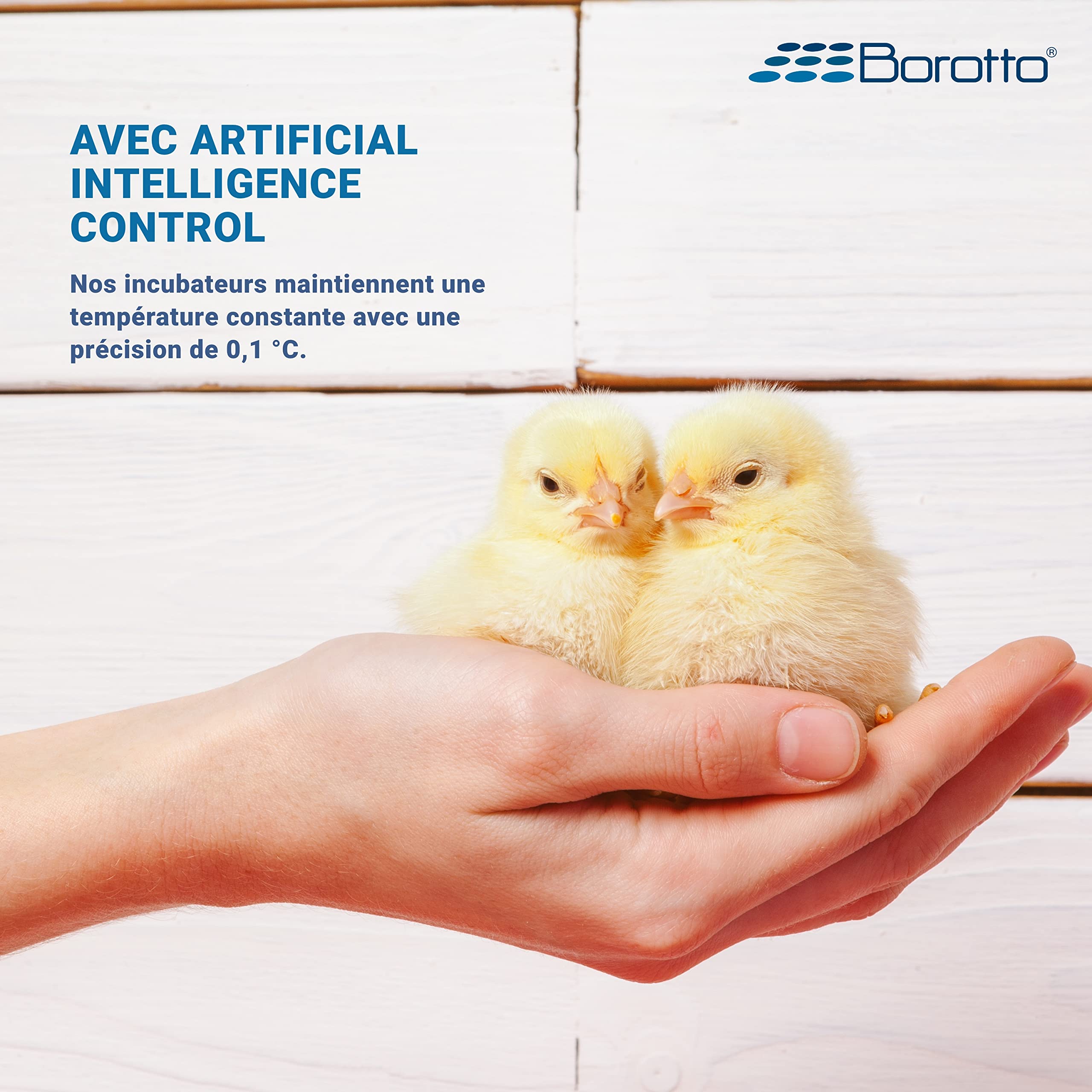 Borotto Lumia 8 | Couveuse Oeuf Automatique pour 8 Oeuf ou 32 Petits avec Retournement Automatique et Contrôle de la Température | Made in Italy
