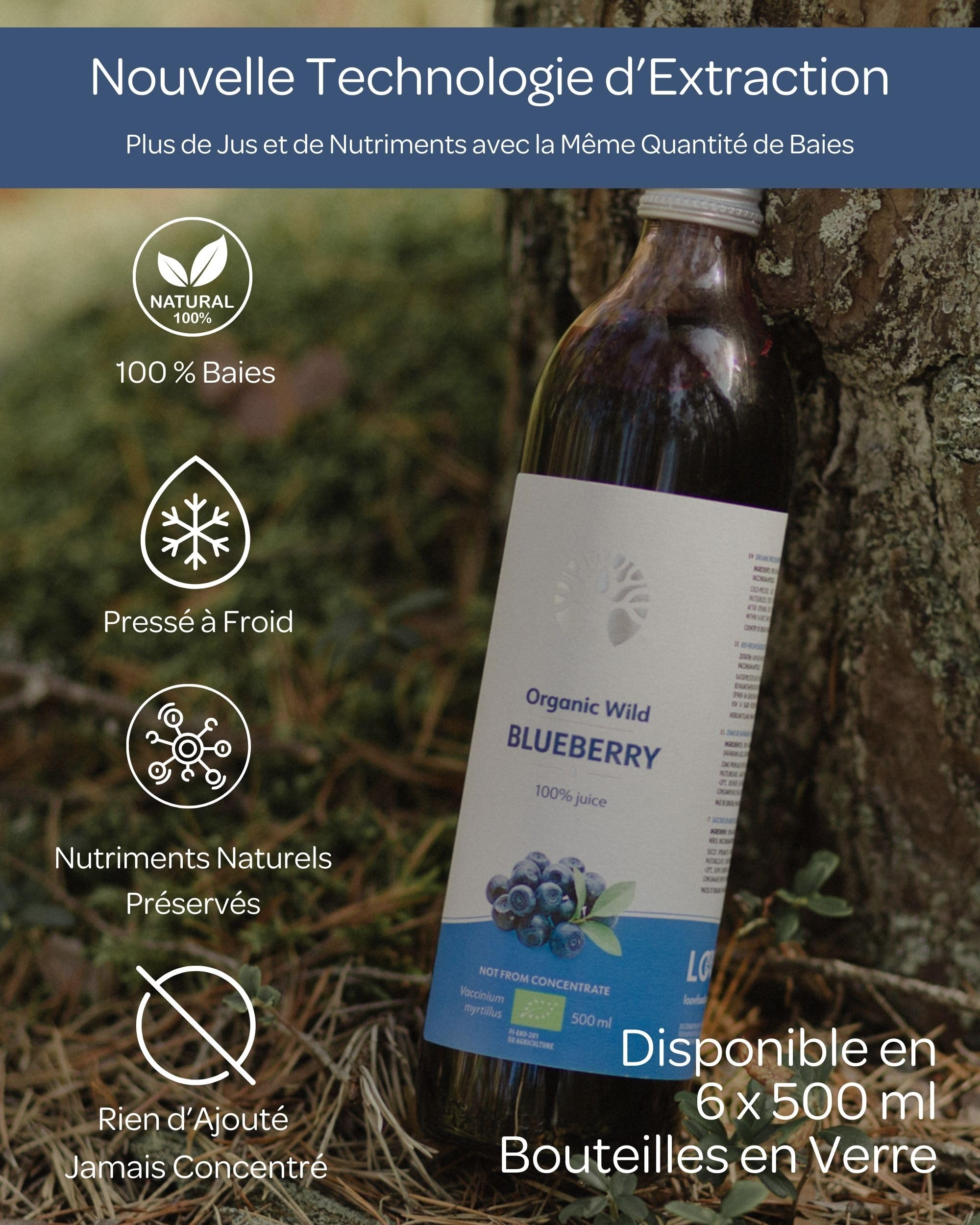 Jus de myrtille sauvage bio LOOV – 100% pur jus, pressé à froid, sans sucre ni eau ajoutés, sans concentré – 6 bouteilles en verre de 500 ml