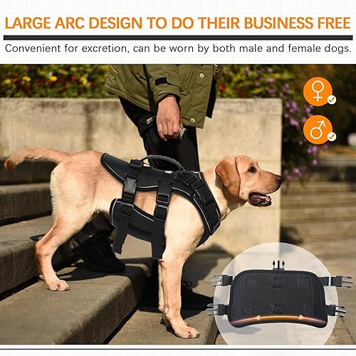 Miniatura 4 de ROZKITCH Arnés de elevación para perros, soporte trasero para el pecho de las mascotas, aprobado por veterinarios, para ayudar con poca estabilidad,