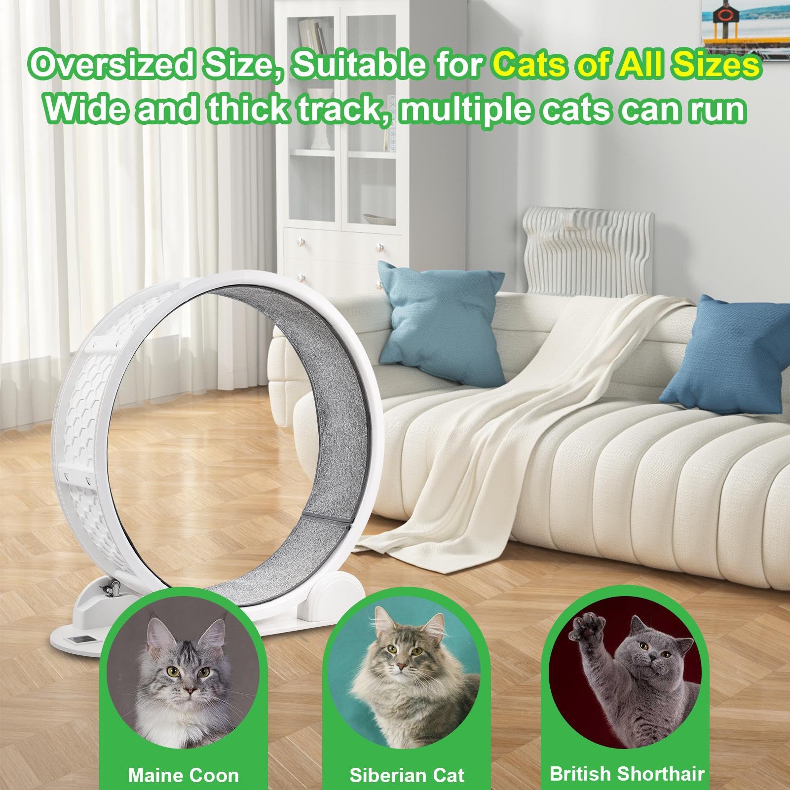 Rueda para Gatos - Rueda de 103,6 cm para Correr, TPE, súper silenciosa, Rueda de Equilibrio Grande para Gatos, con podómetro, soporta 22,7 kg, para Gatos pequeños, medianos y Grandes