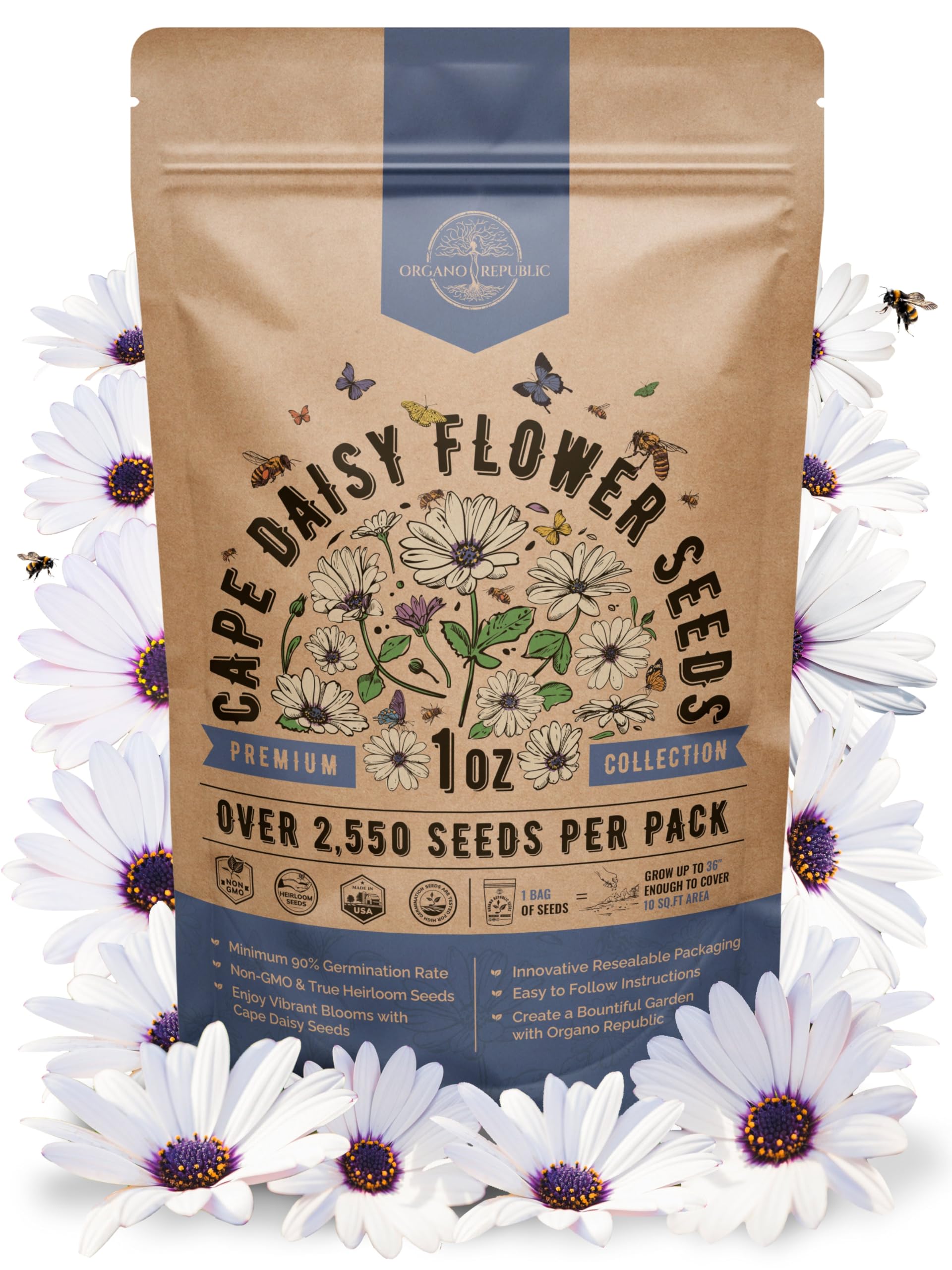 Organo Republic Cape Daisy Seeds Pack