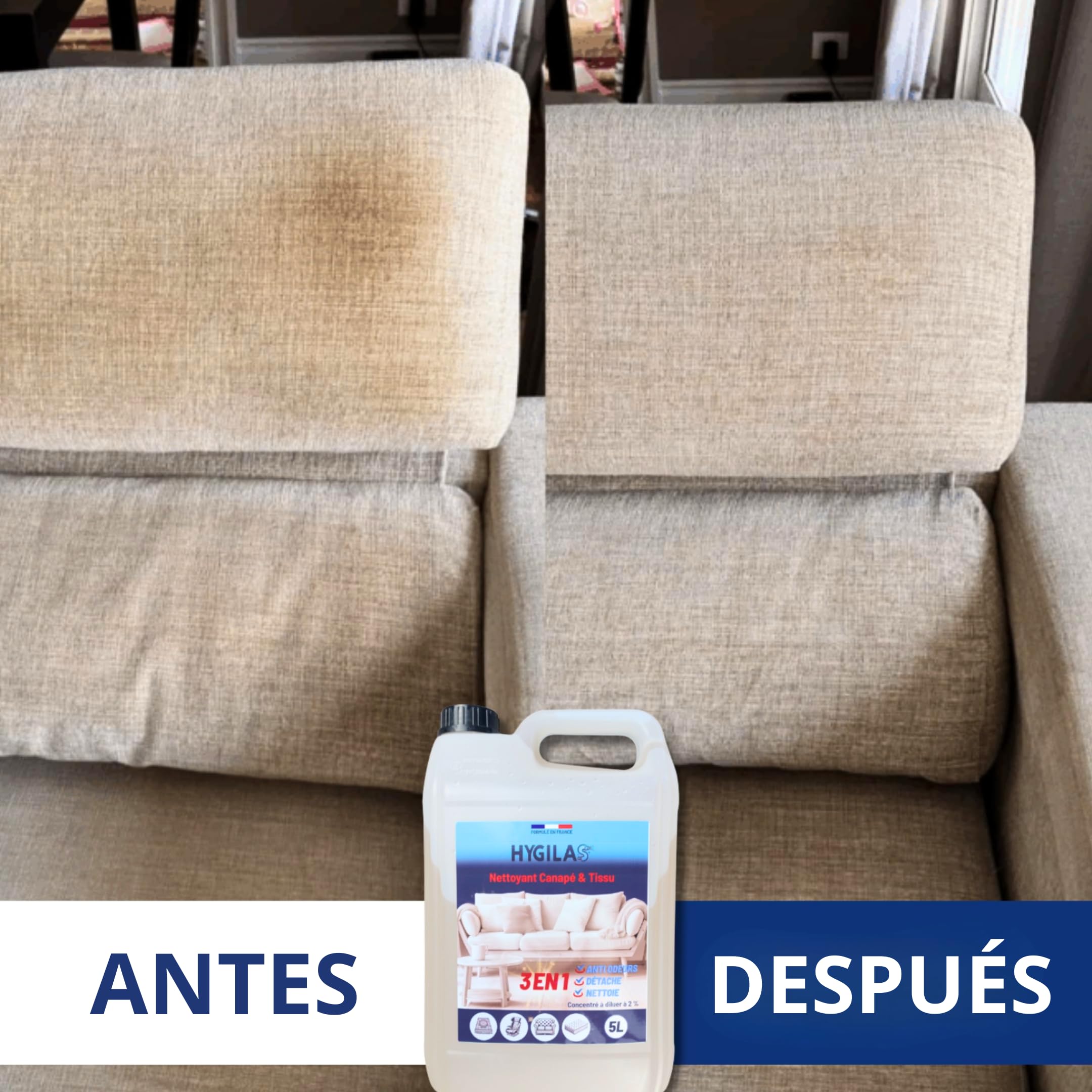 HYGILAS Limpiador Tapicerías Sofá 5L Profesional | Ultra Concentrado (500L) | Elimina Manchas y Olores | Compatible Inyector Extractor, Alfombras y Asientos Coche