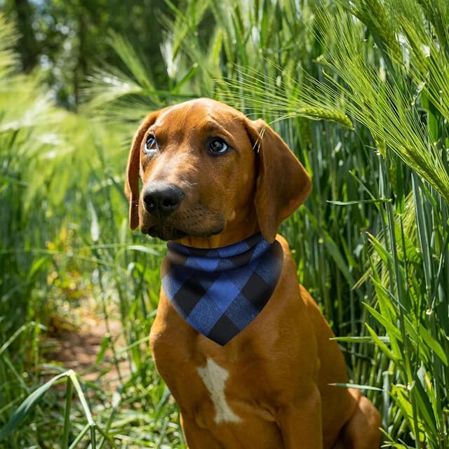 Foto 5 de 7 de EUPSIIU 6 bandanas para perro, elegantes bandanas triangulares para perro, bufanda de estilo único