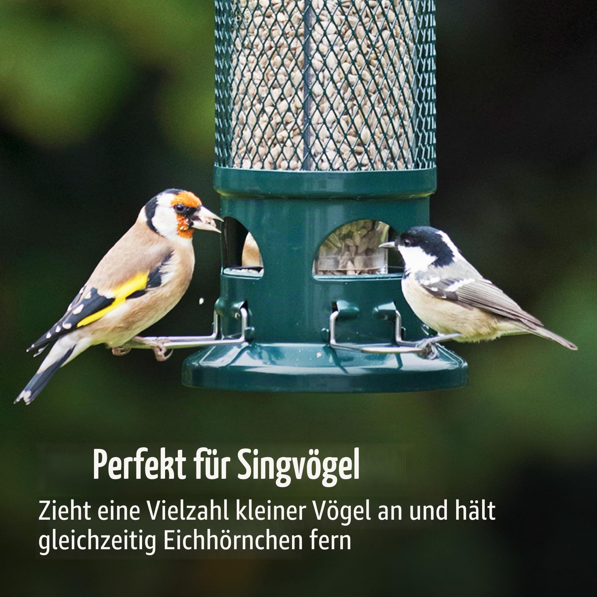 The Squirrel Buster Vogelfutterstation, eichhörnchensicher