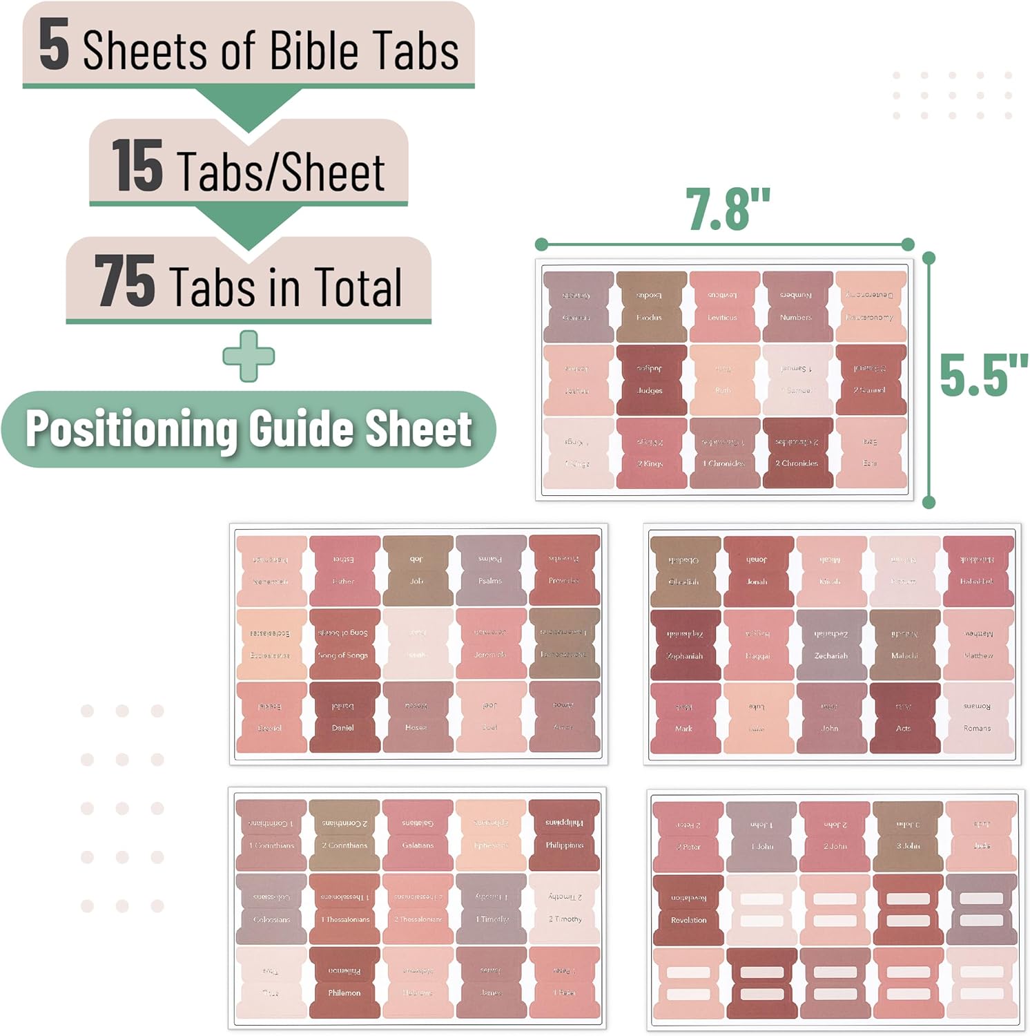 Mr. Pen- Bible Tabs, 75 pcs, Earthy Brown, Gold Foil Lettering, Laminated Bible Tabs for Women and Men, Bible Index Tabs, Bible Book Tabs, Bible Labels Tabs, Mr. Pen Bible Tabs - Image 2