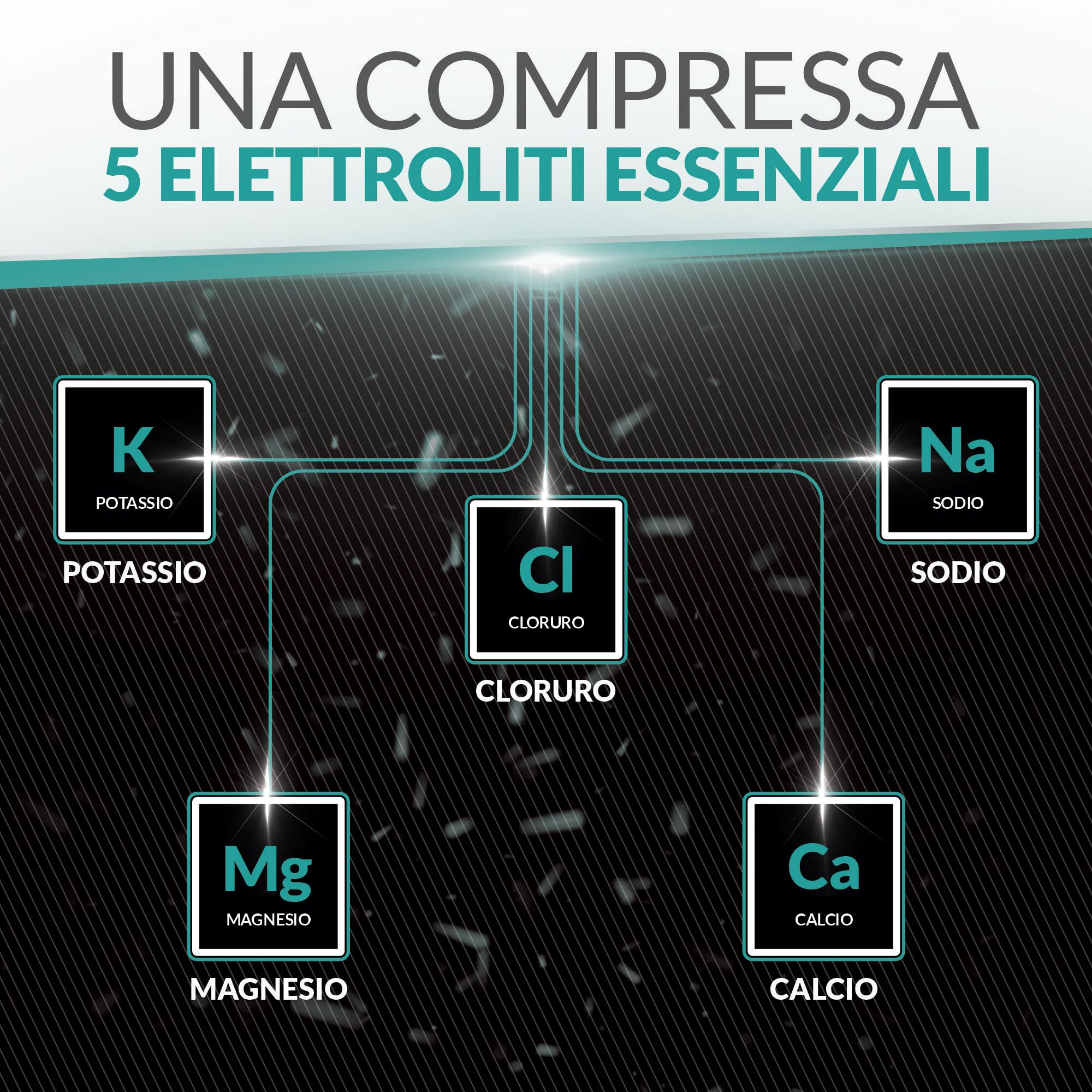 Xellerate Nutrition Elettroliti - 270 Compresse Vegane Senza Gusto - Con Sodio, Potassio, Magnesio e Fosfato di Calcio - Adatto a Diete Carnivore e Paleo - Prodotto in Europa