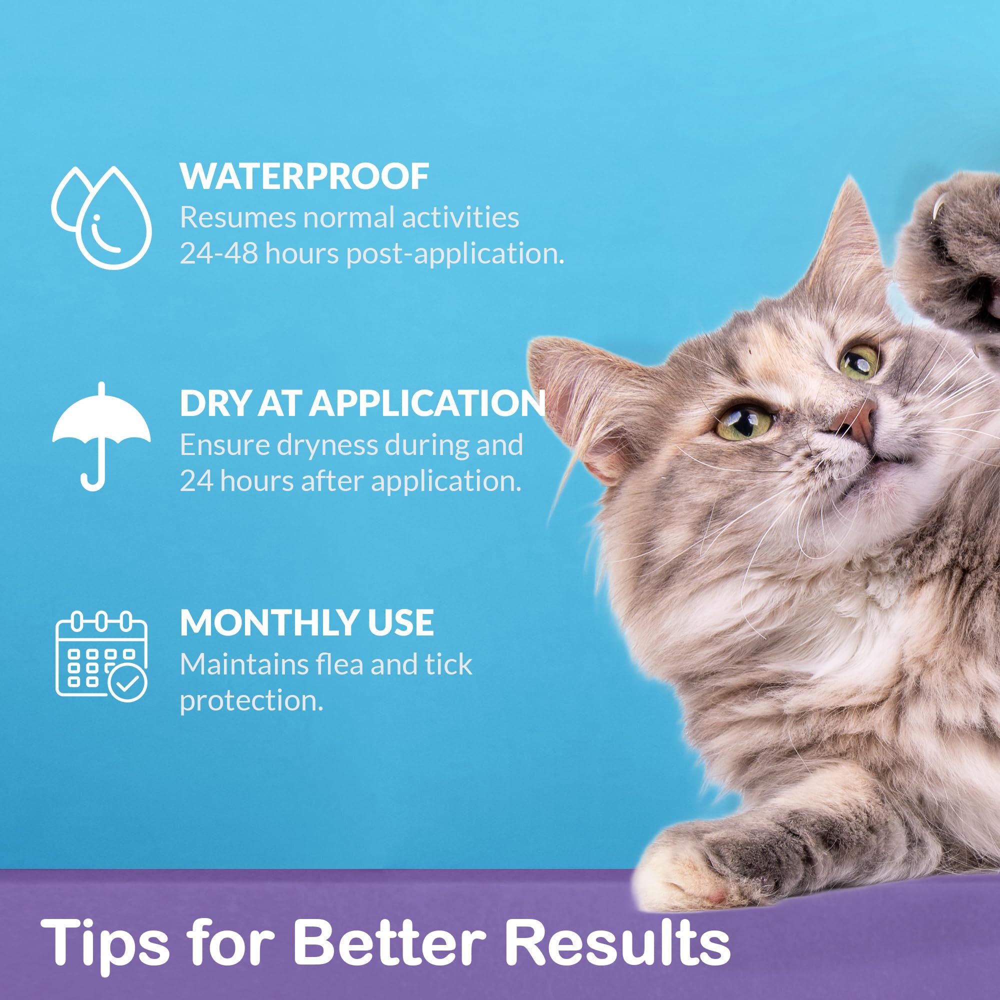 Topical Flea and Tick for Large Cats: Waterproof Topical Cat Flea and Tick – Fast-Acting & Long-Lasting at Home Control for Cats Over 9 lbs and 8 Weeks or Older – 6-Dose Supply — view 8