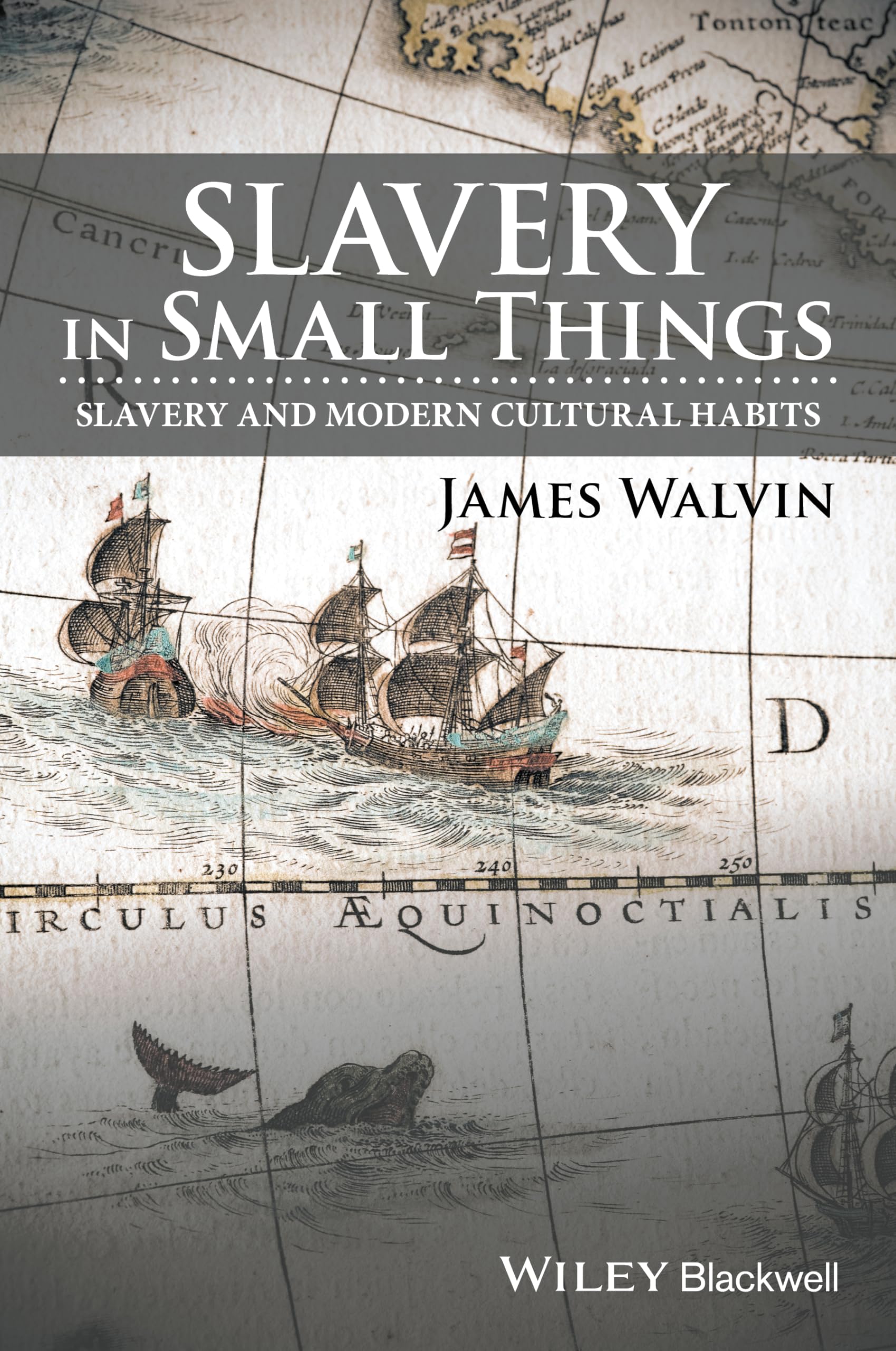 Slavery in Small Things: Slavery and Modern Cultural Habits By James Walvin