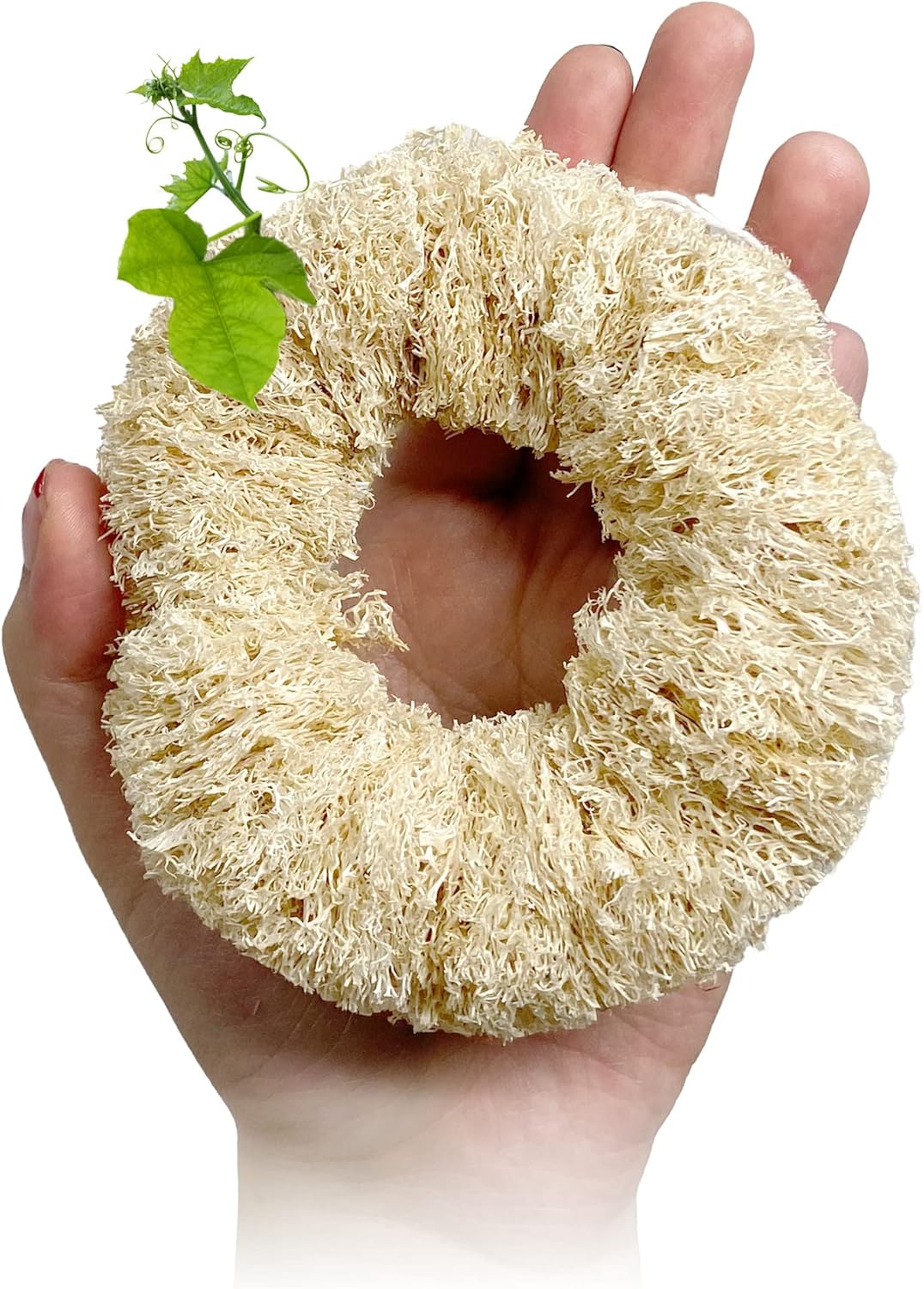 Natural Loofah Dish Sponge Vegetable Scrubber for Kitchen – 100% Biodegradable Compostable Dishwashing Scouring Pad Zero Waste Luffa Loofa Loufa Lufa (Pack 1)