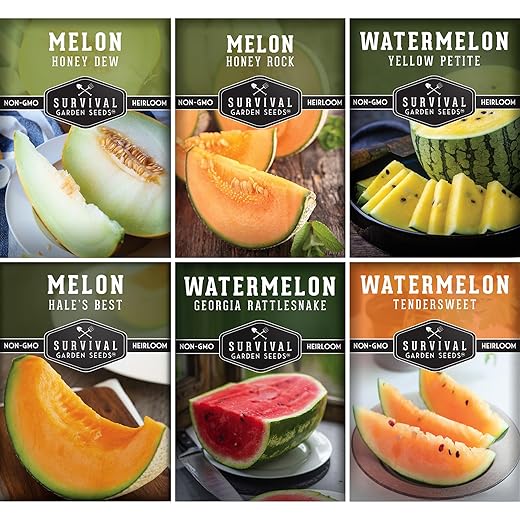 Melon Seeds for Planting Variety Pack – 6 Heirloom Cantaloupe, Honeydew & Watermelon Types – Honey Rock, Hale’s Best, Tendersweet, Georgia Rattlesnake – Survival Garden Seeds