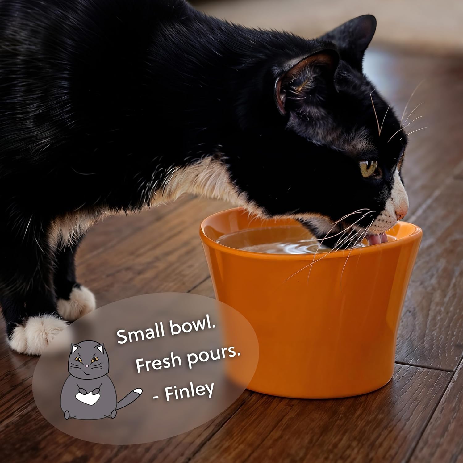 Elevated Cat Bowls for Water – Raised Bowl for Indoor Cats – Whisker & Neck Fatigue Shallow Cat Dishes – Vet-Recommended Height, Modern Pedestal Design – Non-Slip & Dishwasher-Safe – 8 oz Orange