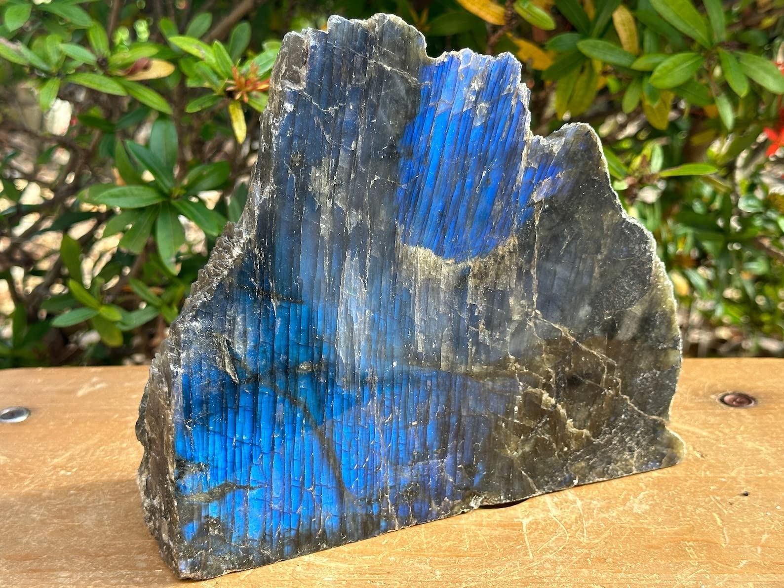 Natural Labradorite Slab, High Flash Free Standing Display Specimens, Raw Labradorite Slab Cut Base (3-4 lbs)