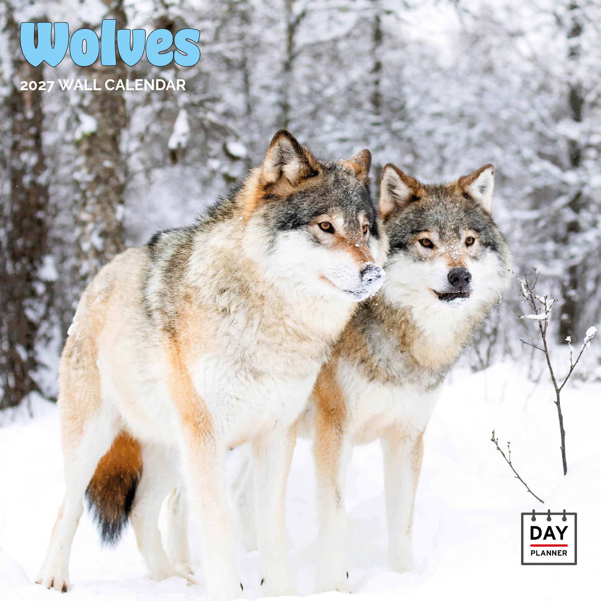 Dayplanner Publishing Wolves Calendar 2027, Large