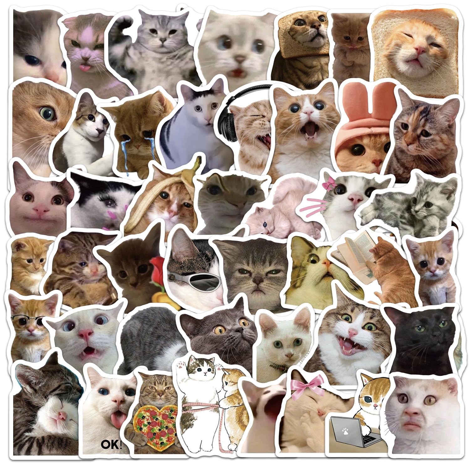 Pack of 50 Funny Meme Cat Vinyl Stickers Waterproof Self Adhesive