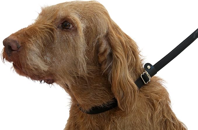 multipet squeakables