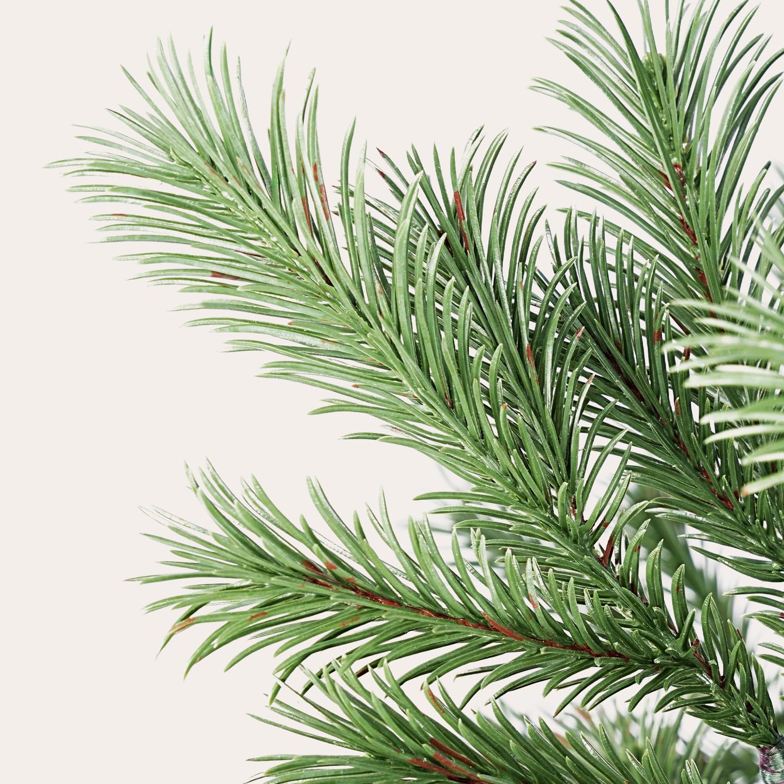 SALCAR Künstlicher Weihnachtsbaum 150 cm aus 90% PE Spritzguss, Premium Nordmanntanne, realistischer Christbaum mit Schnellaufbau Klappsystem