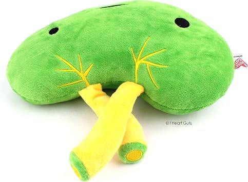 I Heart Guts Spleen Plush - Lymphin' The Dream - Cute Educational Organ Toy Spleen Removal, Splenectomy - Funny Get Well Recovery Gift for Doctor Nurse Patients & Medical Student STEM Anatomy Plushie