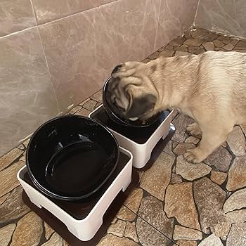 Amazon.com : Umisun Ceramic Bulldog Bowl Dog Feeding Bowl