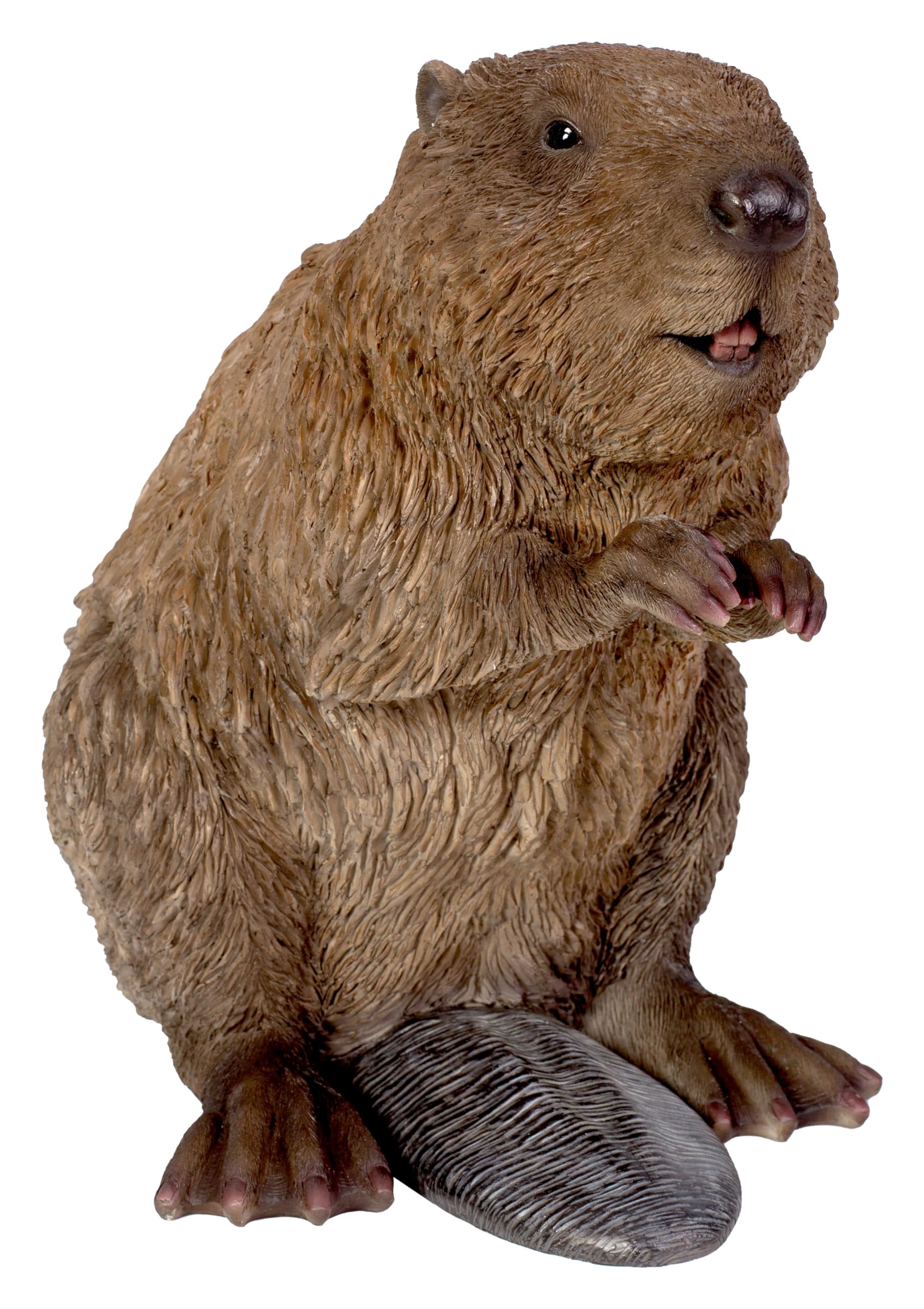 Vivid Arts - Woodland Beaver - XRL-WLBE-B