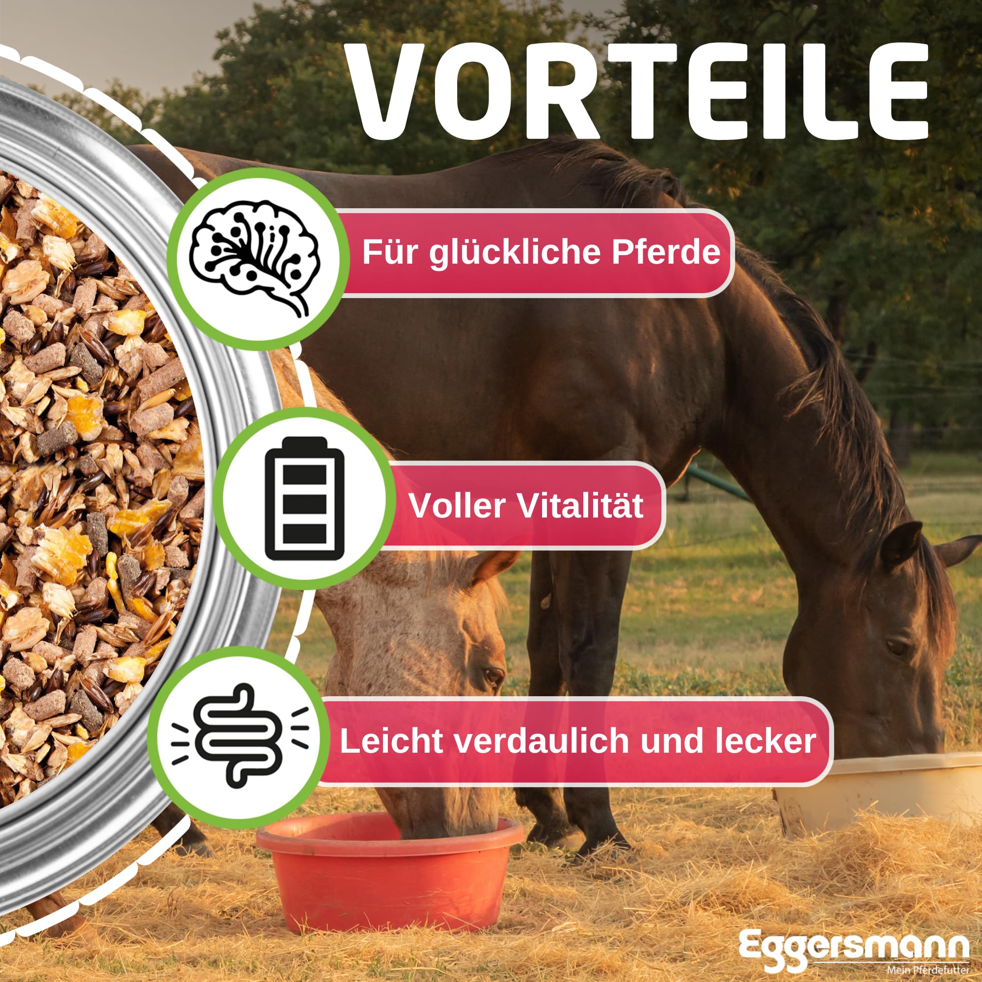 Eggersmann, mangime EHM, müsli per Cavalli da Riproduzione, giumente, stalloni e puledri, 1 Confezione da 20 kg di [Etichetta in Lingua Italiana Non Garantita]