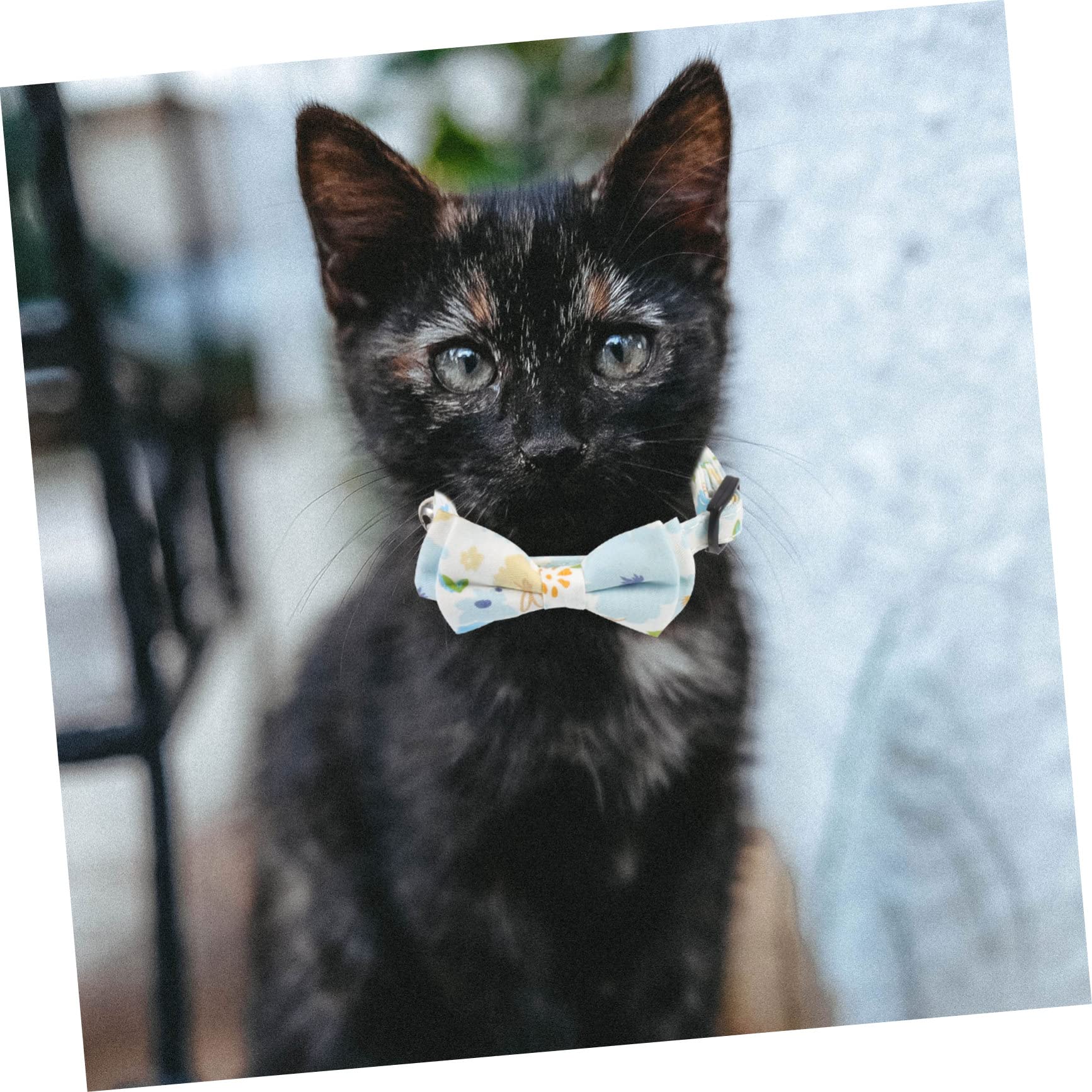 minkissy 10pièces Collier pour Chat avec Cloche Ensemble De Colliers Réglables pour Chiots Et Motif Carreaux Accessoire pour Animaux De Compagnie