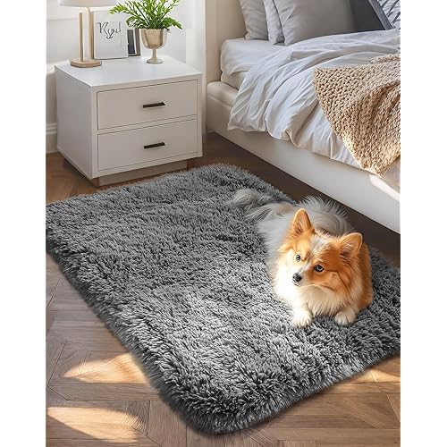 Ophanie Small Rug Upgrade Non Slip Throw Bedside Area Rugs, Fluffy Soft Grey Mini Bedroom Carpet, Affordable Door Entryway Indoor Inside Front Entrance Dog 2x3 Mat, Home Decor Aesthetic, Nursery