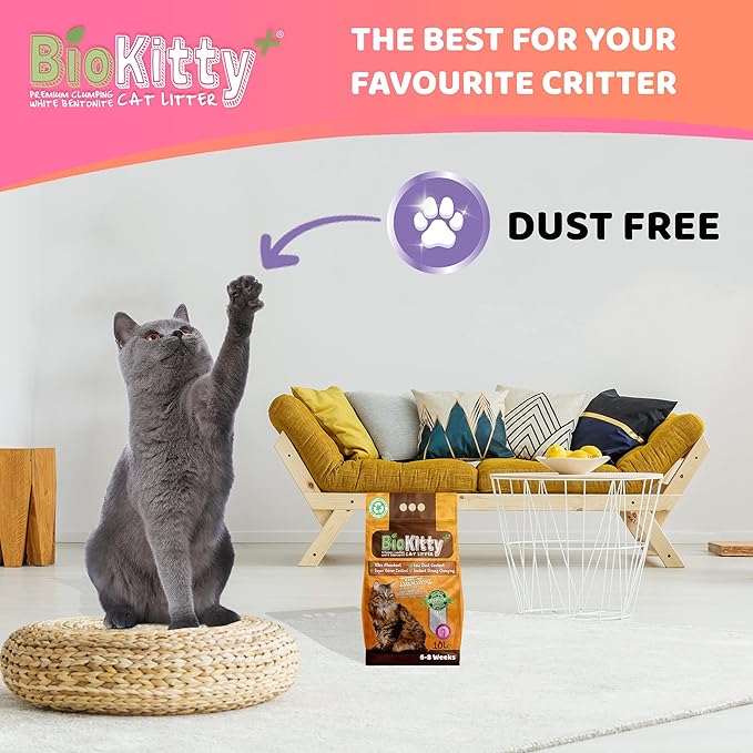 Biokitty Clumping Cat Litter Highly Absorbent Natural Mineral Bentonite Cat Sand Litter Baby Powder Scent Long Lasting Odour Control No Dust Kitty Litter Non Tracking Cat Litter Clumping 10l Amazon Co Uk Pet Supplies