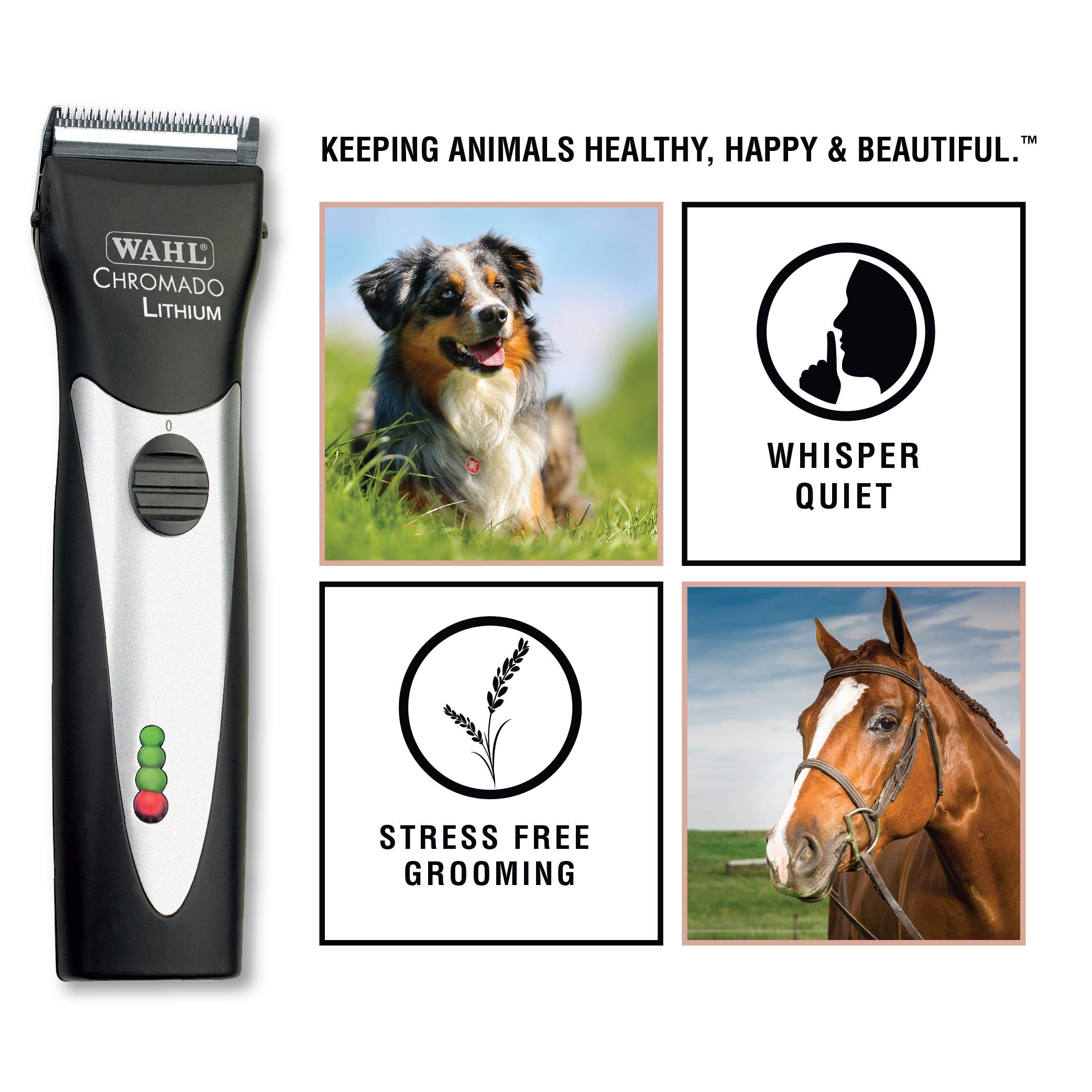 https://m.media-amazon.com/images/I/81gFtXMioML.jpg
