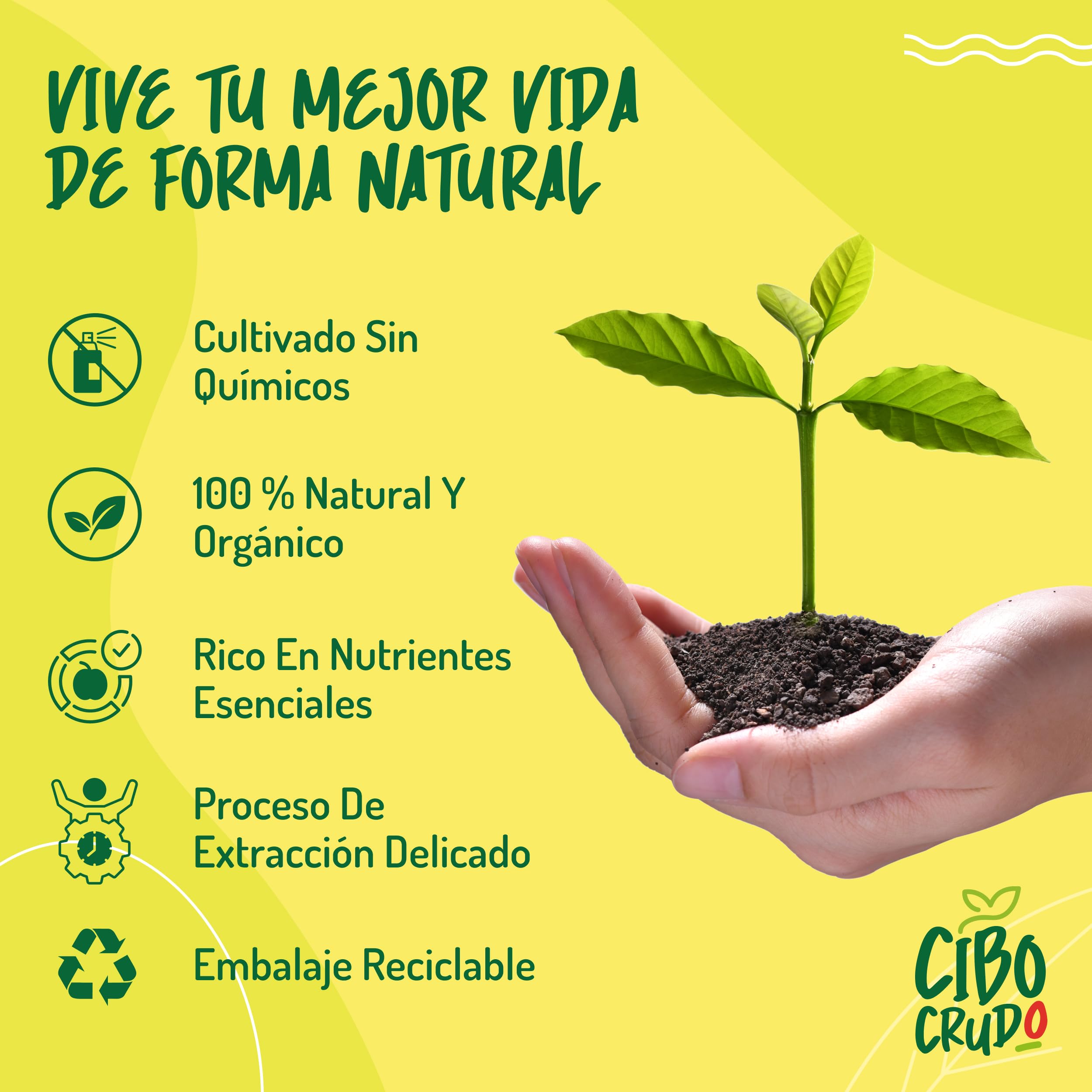 Aceite de Comino Negro Bio - 500ml. Aceite de Semilla Negra también llamado Nigella Sativa es Rico en Omega 6/9 y Timoquinona ideal para Condimentos - Black Seed Oil Organic Cold Pressed