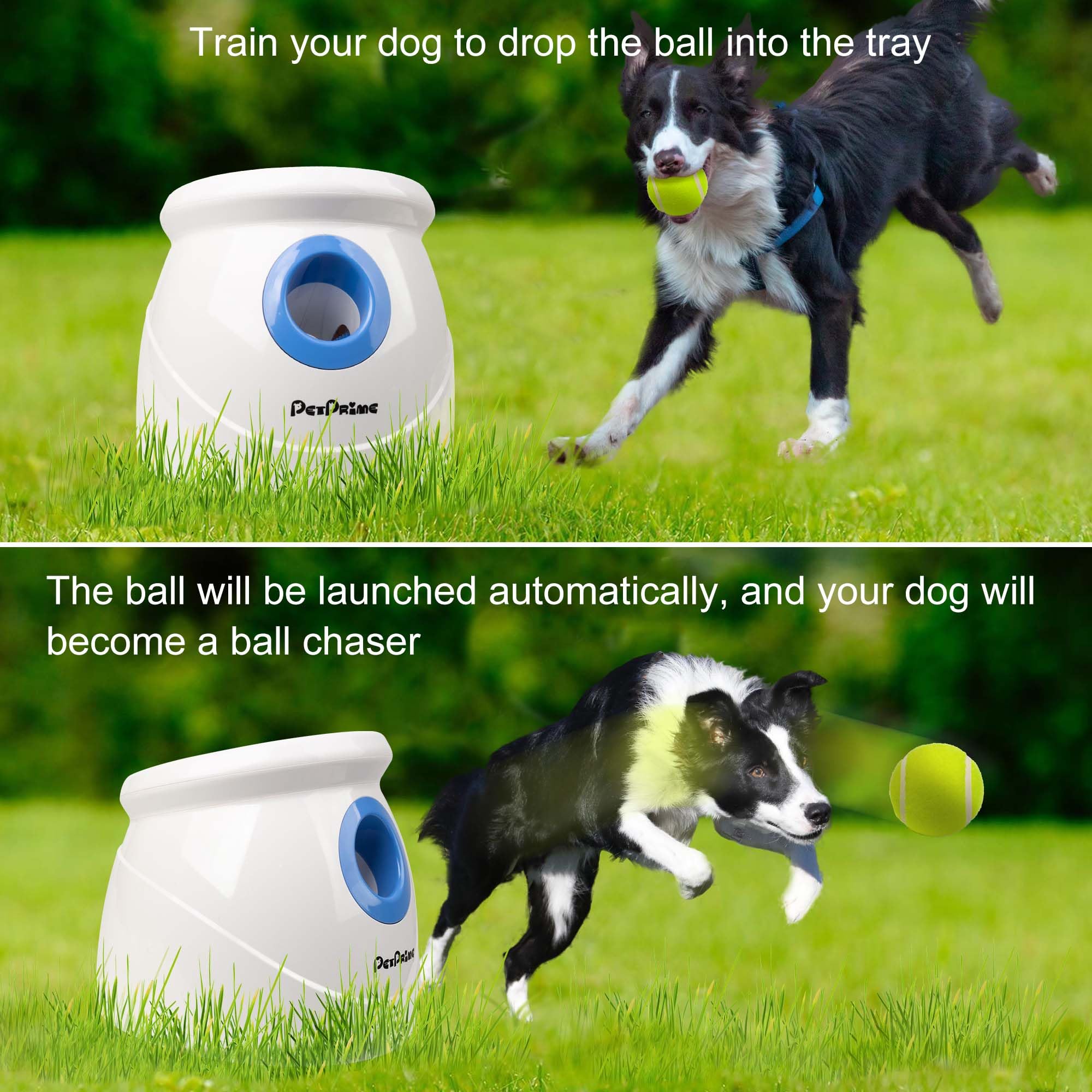 Pet Prime Lanzador automático de pelotas para perros para razas grandes, juguete interactivo recargable con 10-40 pies, máquina de búsqueda con 6 pelotas de tenis duraderas de 2.5 pulgadas y silbato