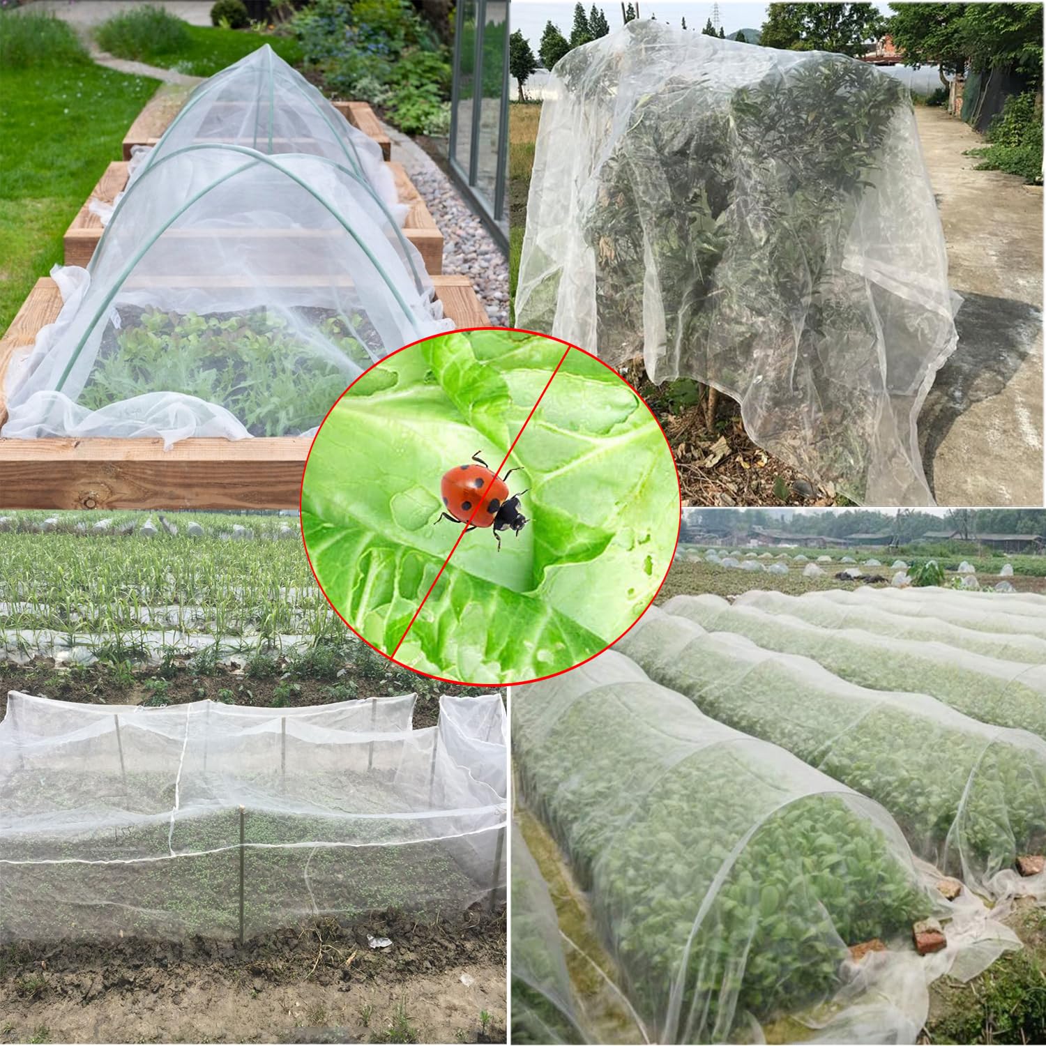 Rete Anti Insetti 3X15m, Antigrandine per Orto, Protezione Piante - Anti Pest Mosquito e Uccelli