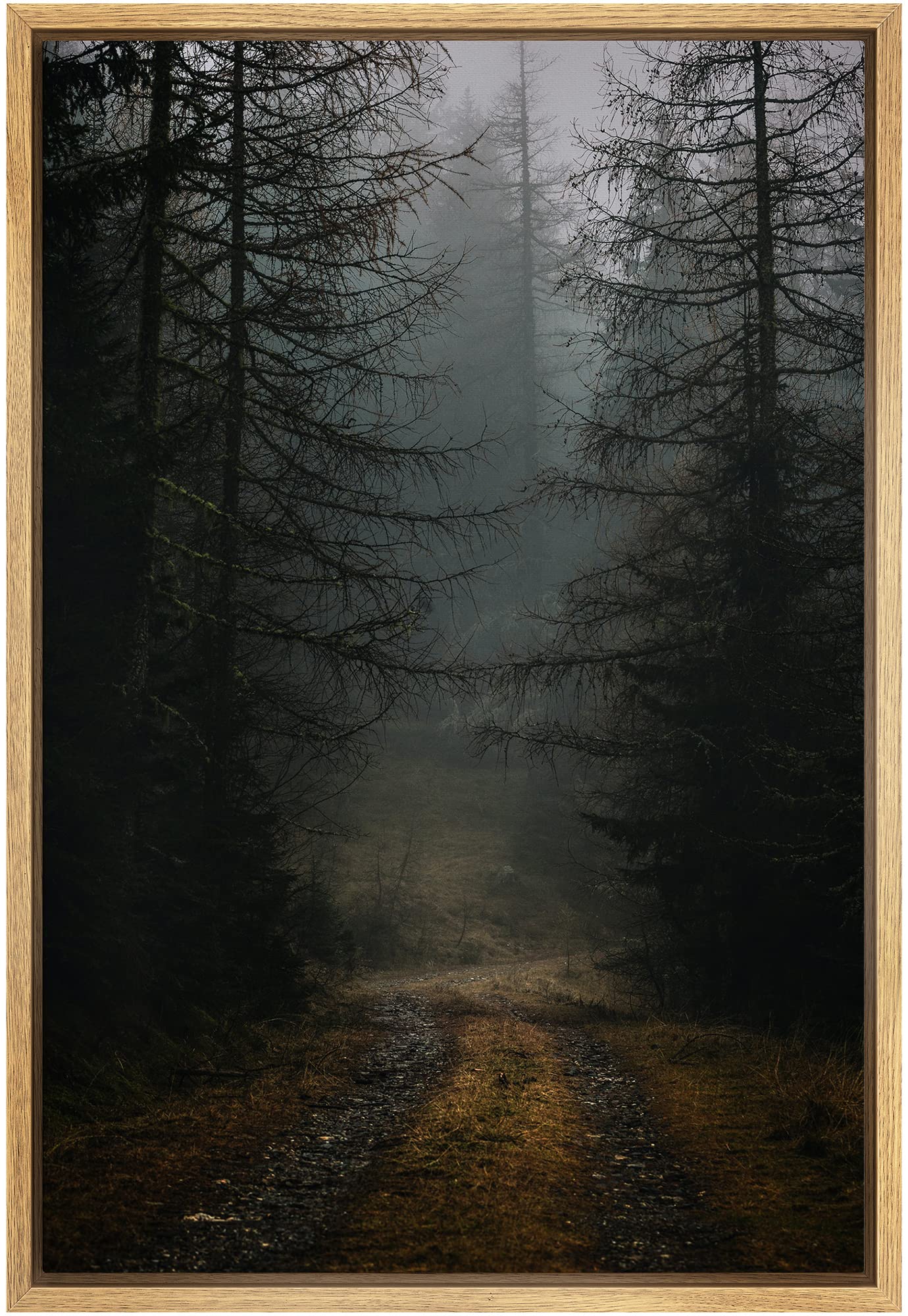 SIGNWIN Framed Canvas Wall Art Foggy Trees Cool Dramatic Forest Multicolor Nature Photography Rustic - 24"x36" Natural