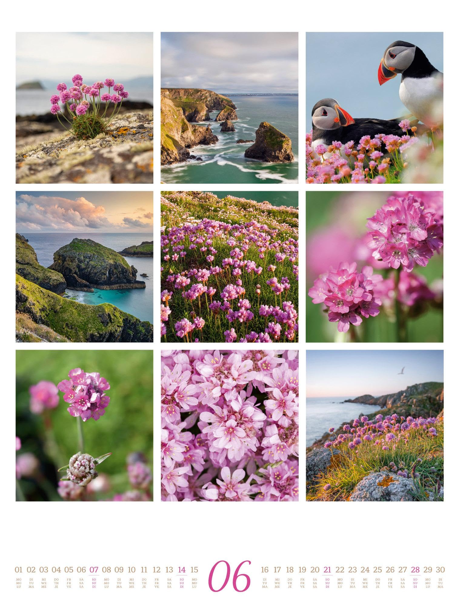 Inspiration Natur Kalender 2026 | Vielfältiger Natur-Kalender im großen Hochformat (50x66 cm) | Mehrteilige Bildmosaike im Triplet-Stil