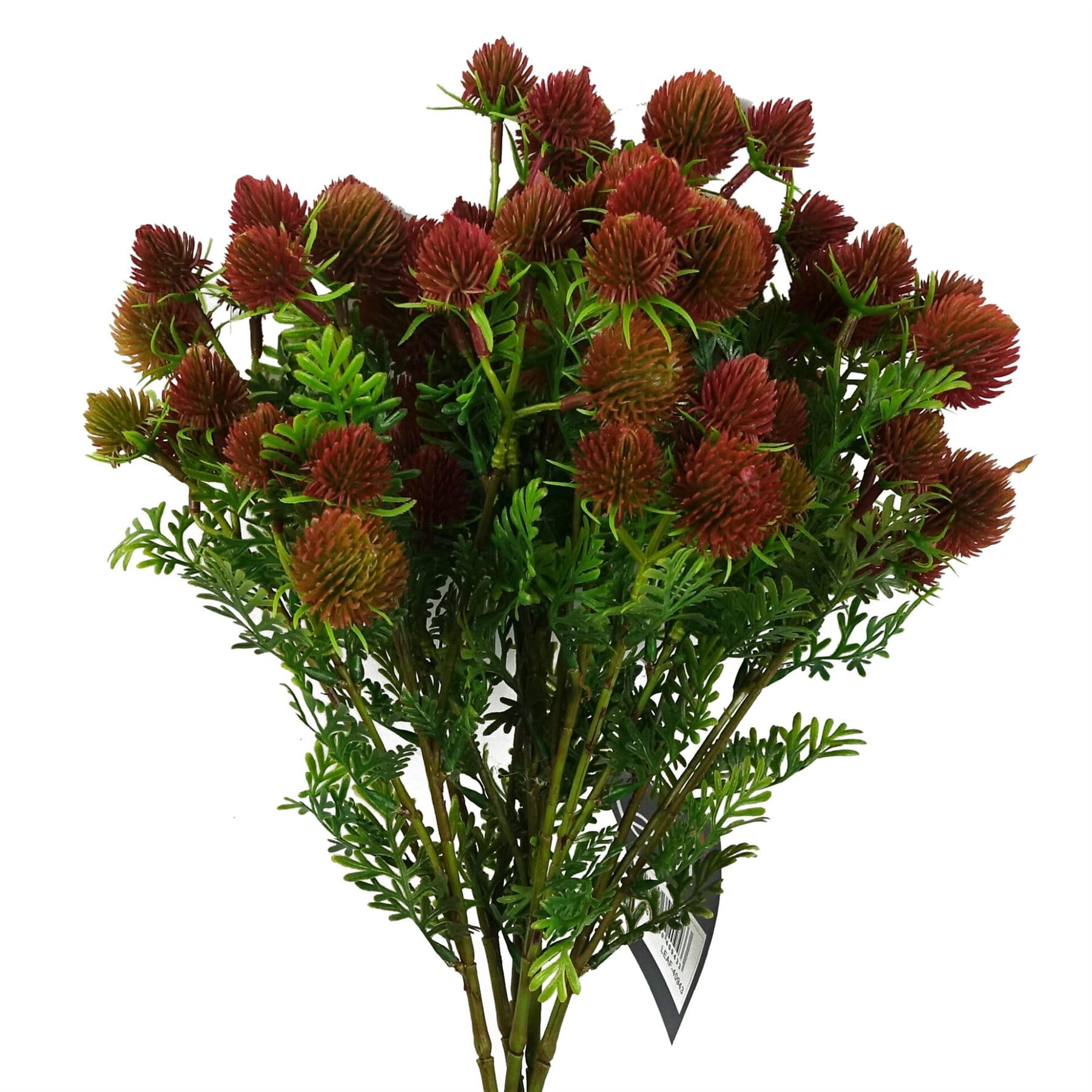 Artificial Craspedia Stems - Red - Pack of 6 - 55cm - Leaf