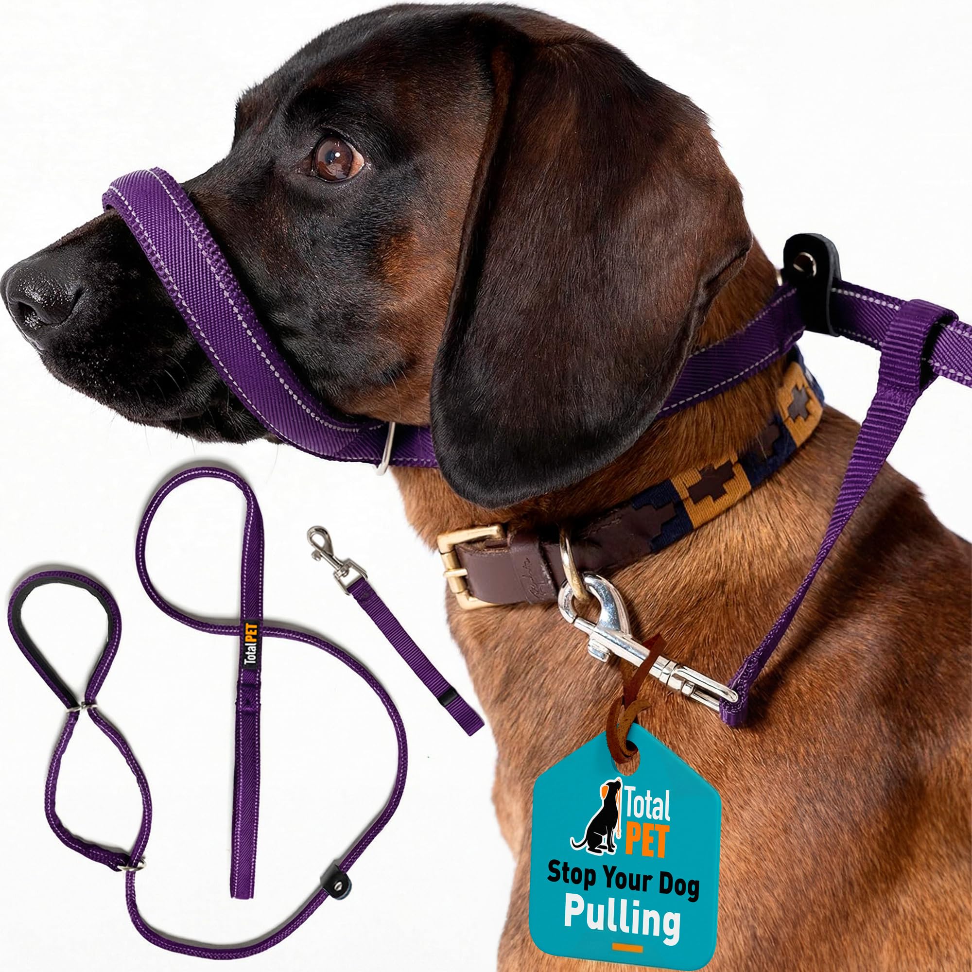 Total Pet Figure of 8 Dog Lead Flat with Anti Tangle Swivel Mechanism – Anti Pull Stop Dogs Pulling – Slip Leads Reflective with Padded Nose Support - 180cm (Purple, 210cm) — image 1