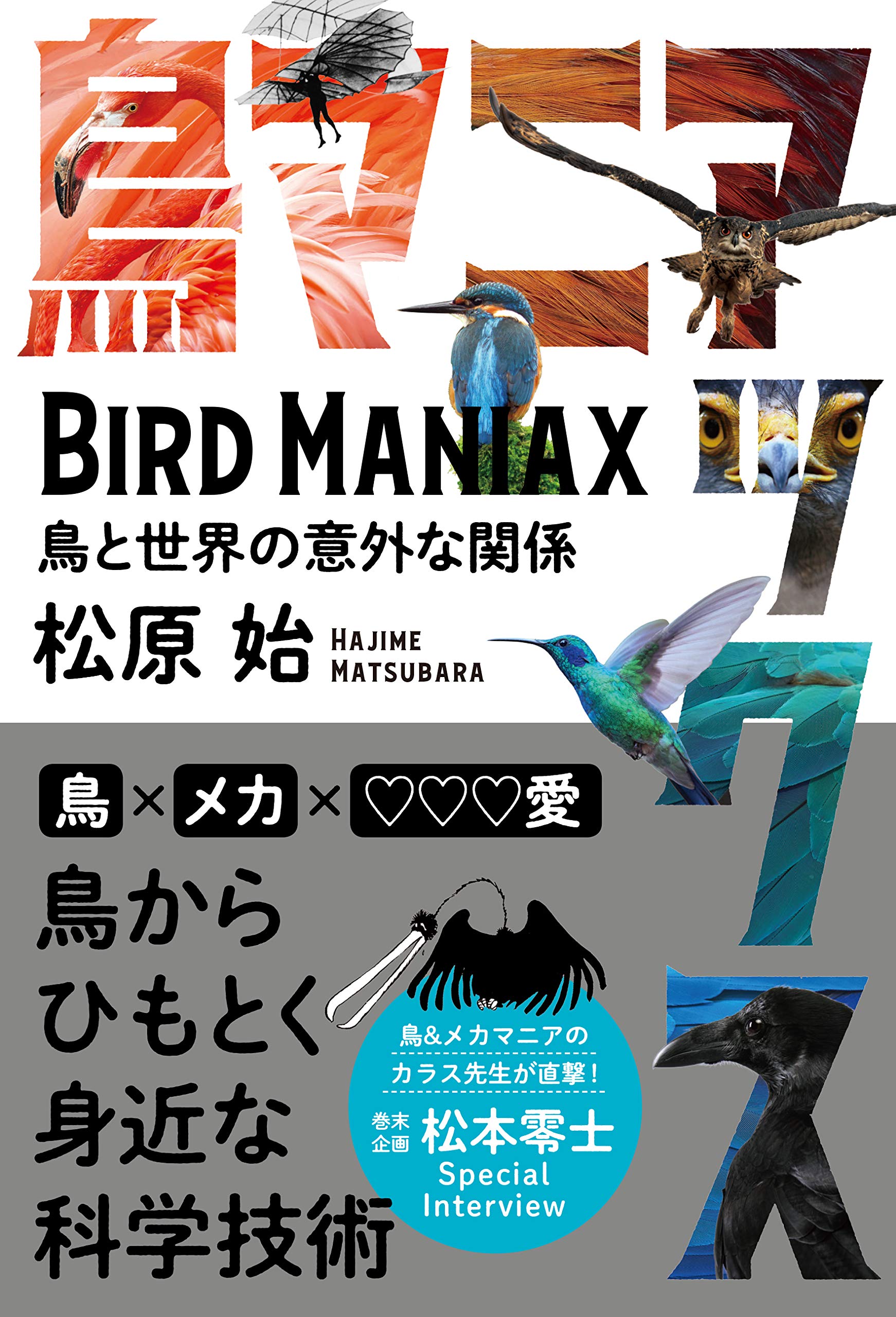 鳥マニアックス 鳥と世界の意外な関係 | 松原始 |本 | 通販 | Amazon