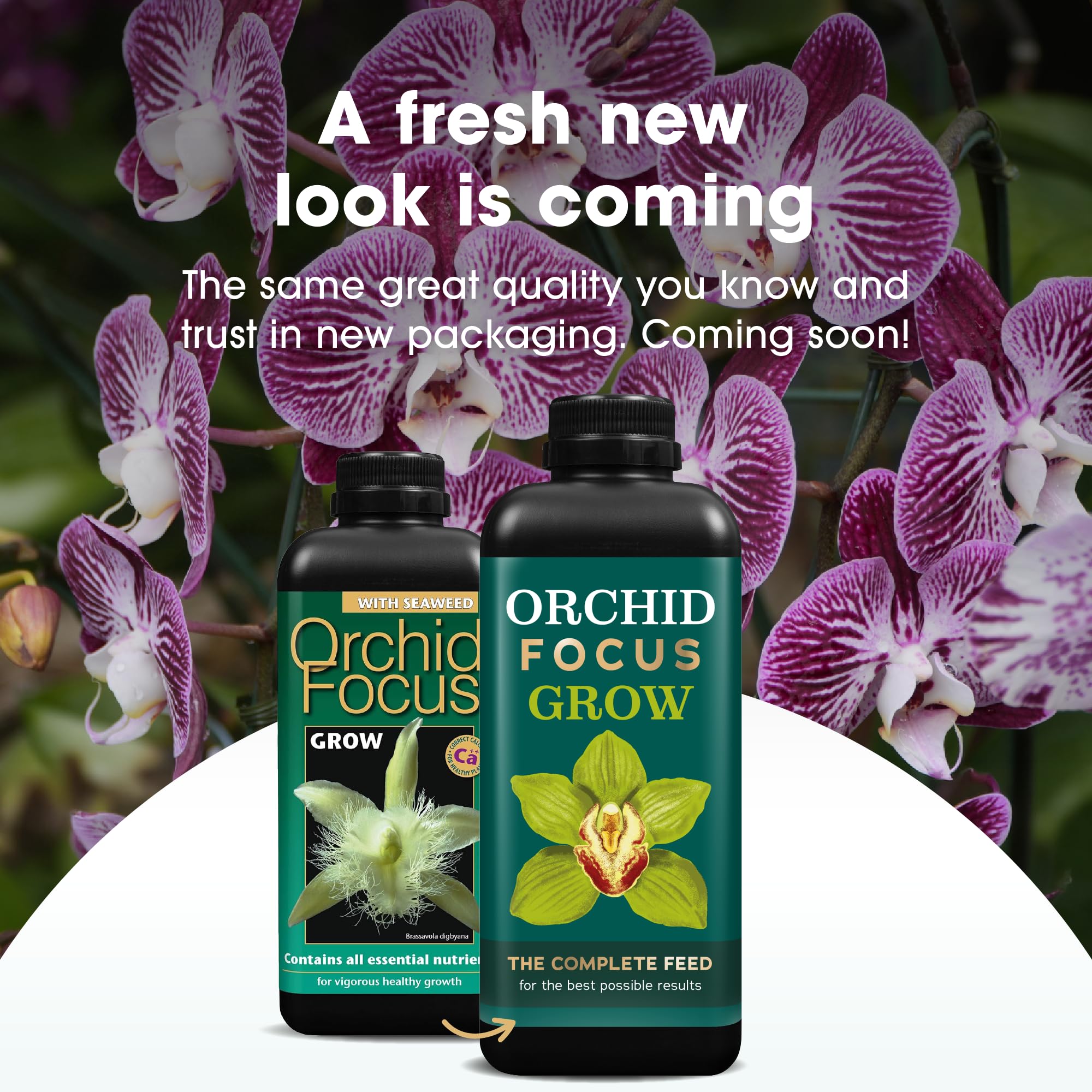Orchid Focus Grow, 1 litro