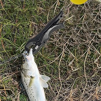 Amazon.co.jp: デジタルフィッシュコントローラー | 魚の体重計