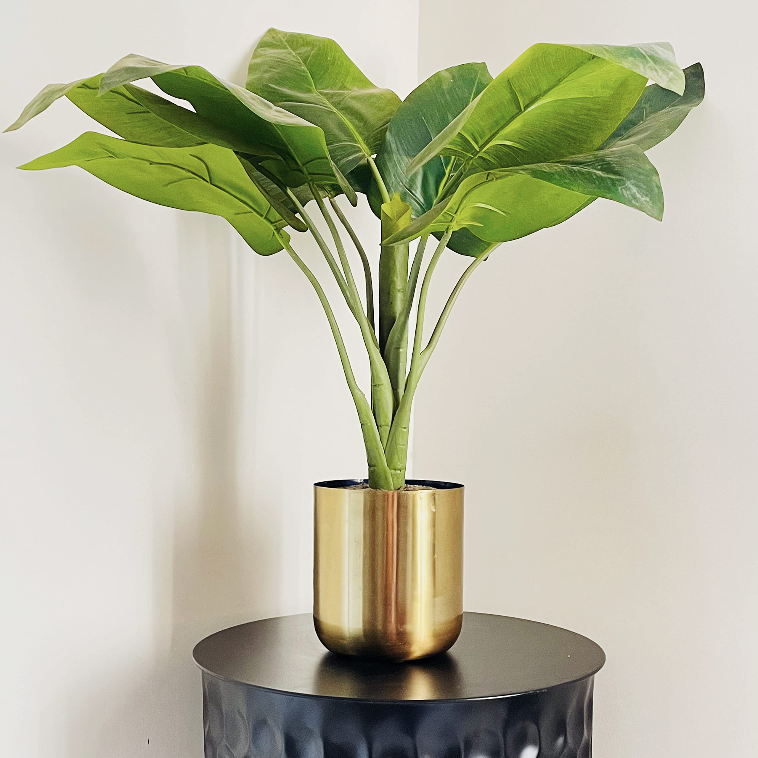 See full amazon price history chart for MORii® Metal Pot Planter in Gold/Blue| Small Succulent Planter | Plants Gold Pot | Golden Planter 6" Dia| Home Living Room | Decor Gifts| Gardening (Gold Blue, 6 inch Pot) MORii® Metal Pot Planter in Gold/Blue| Small Succulent Planter | Plants Gold Pot | Golden Planter 6" Dia| Home Living Room | Decor Gifts| Gardening (Gold Blue, 6 inch Pot) (B08KZVP724) Amazon Price History, Amazon Price Tracker