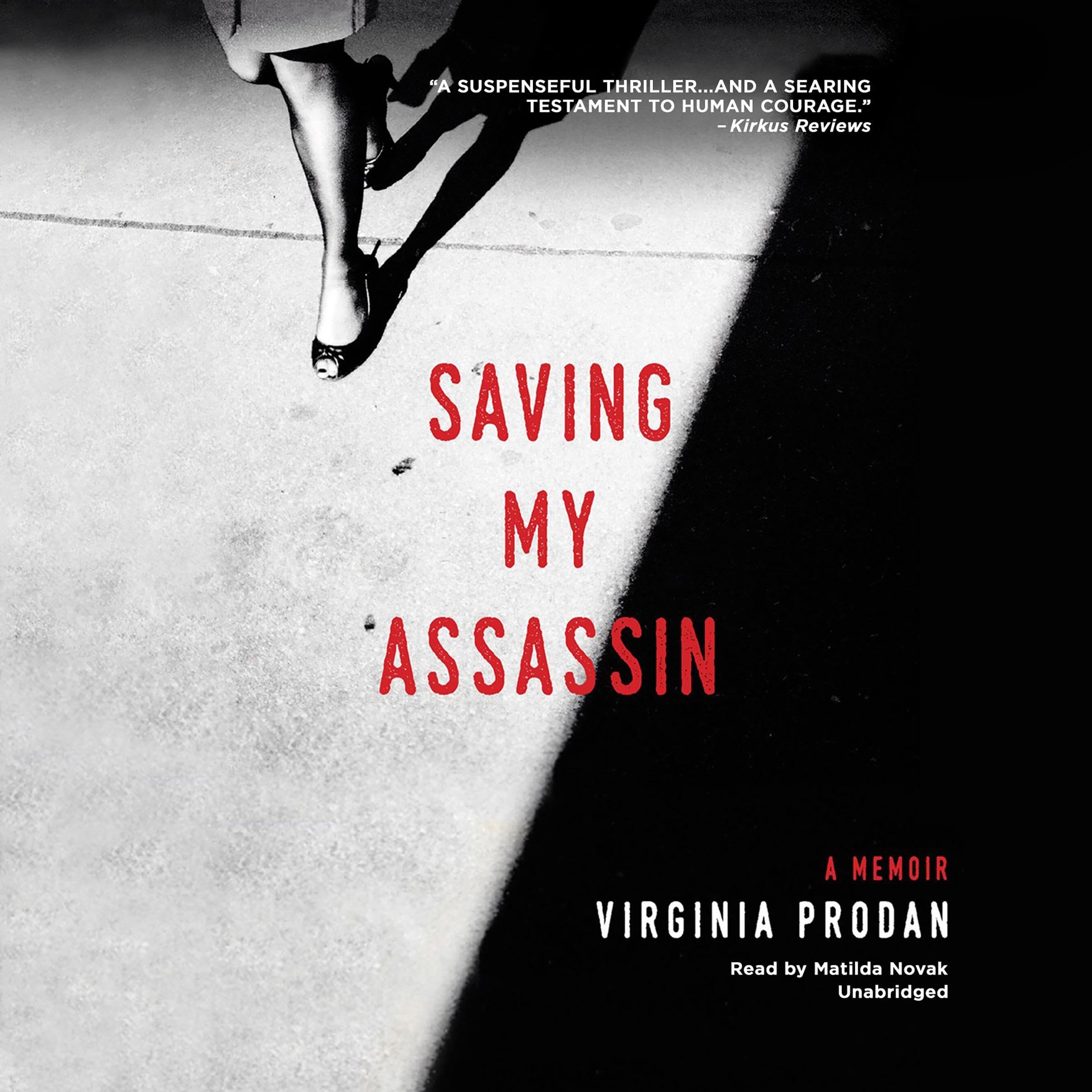 Cover art for Saving My Assassin
