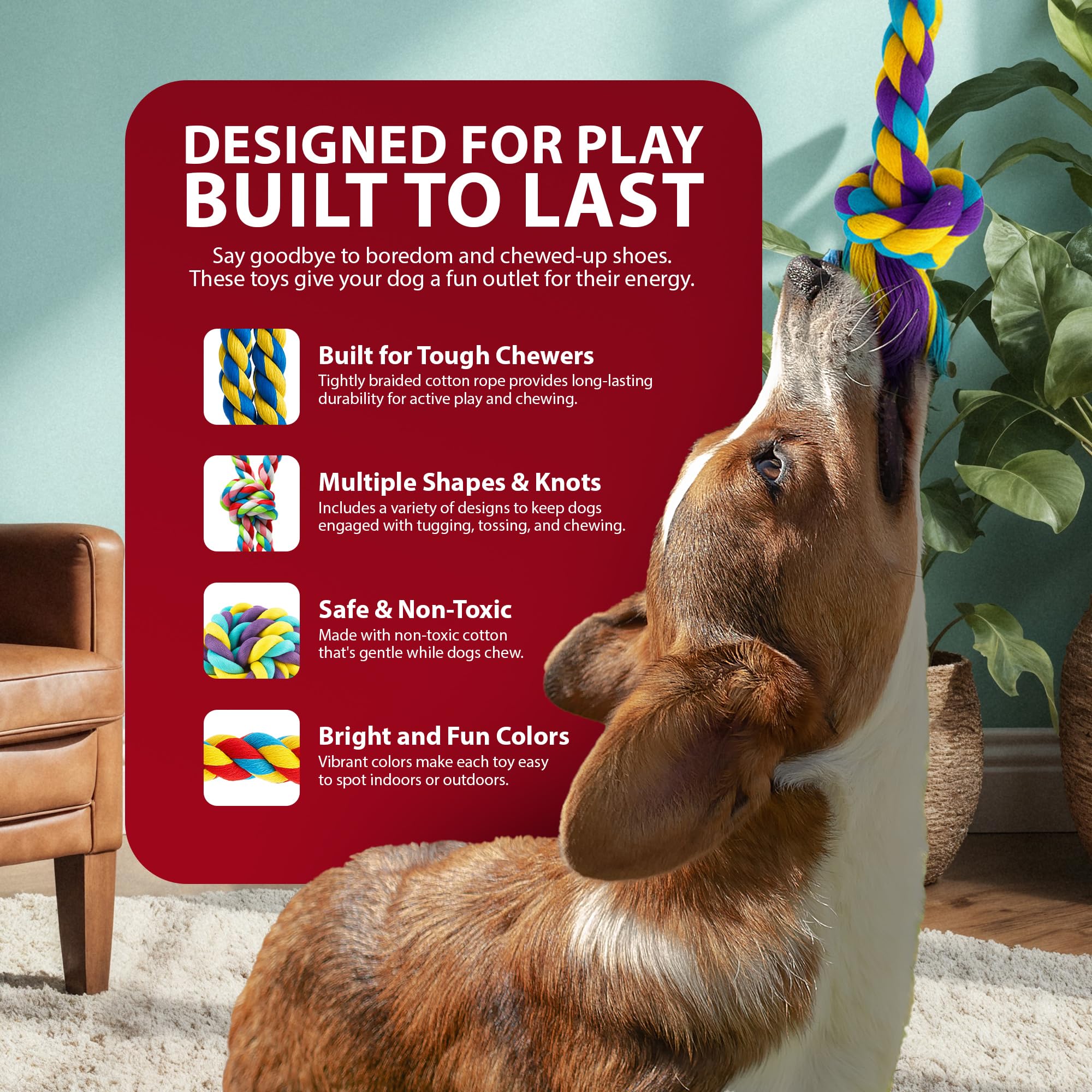 View 6